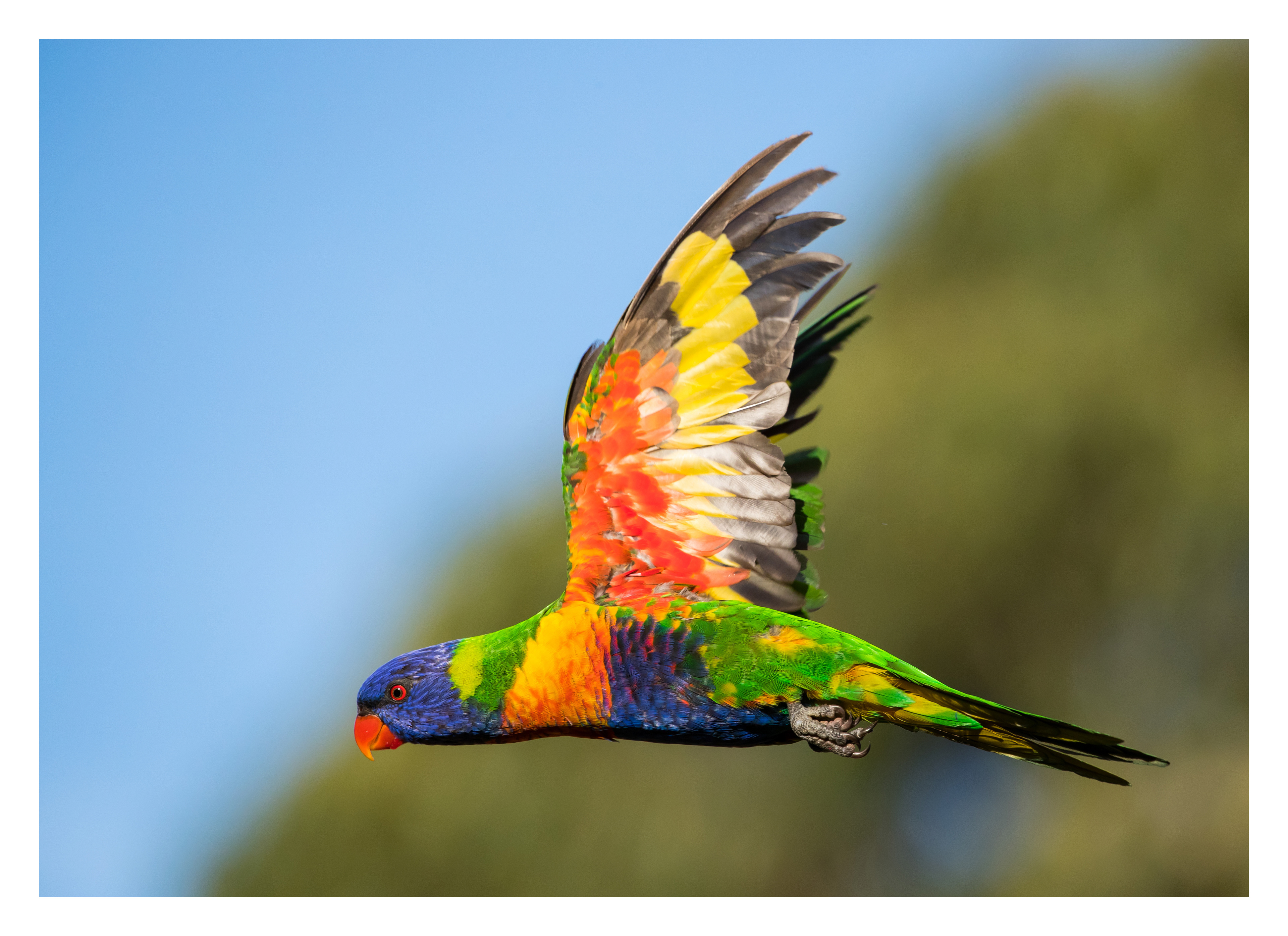 Colours of the rainbow