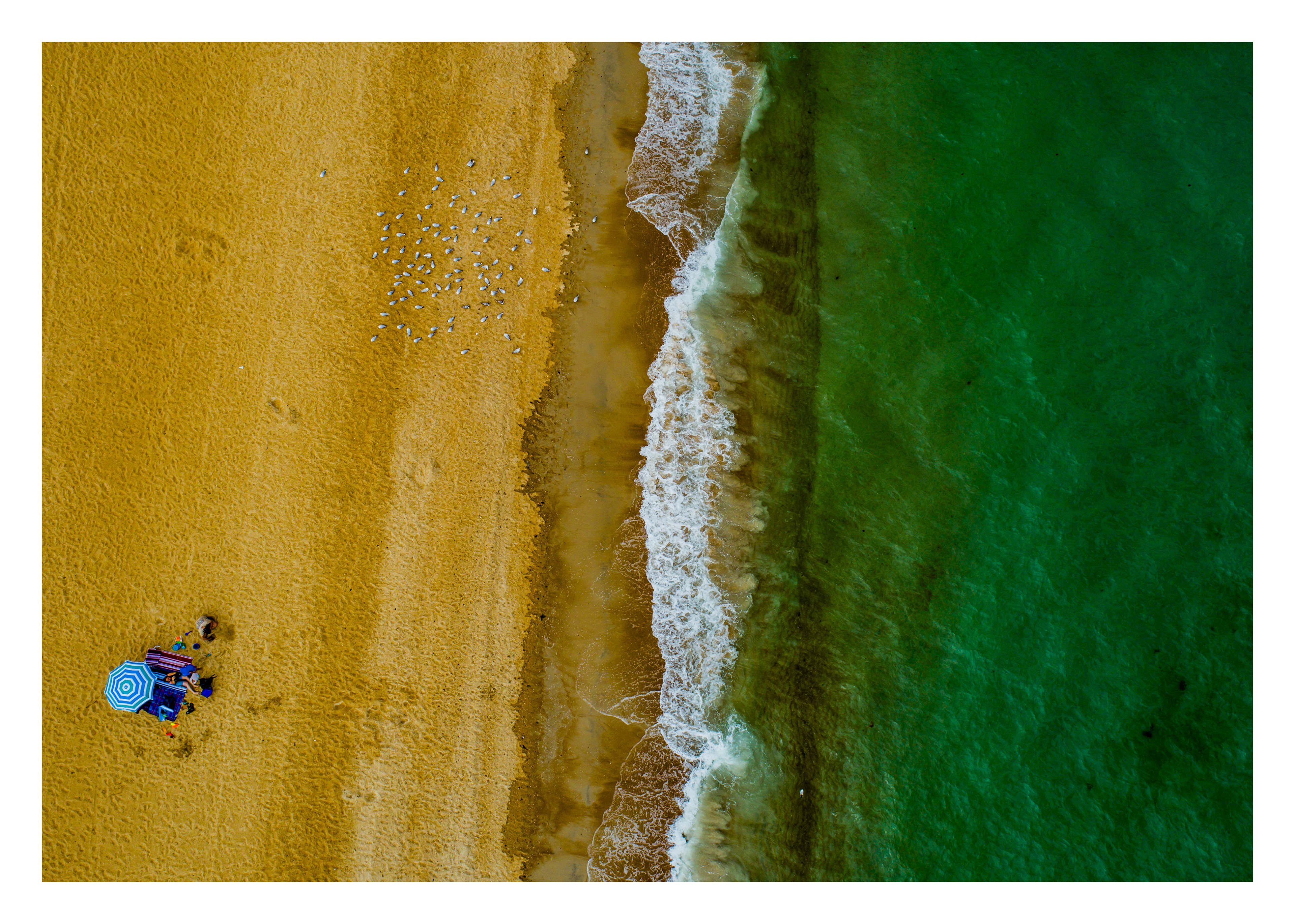 MORDIALLOC BEACH