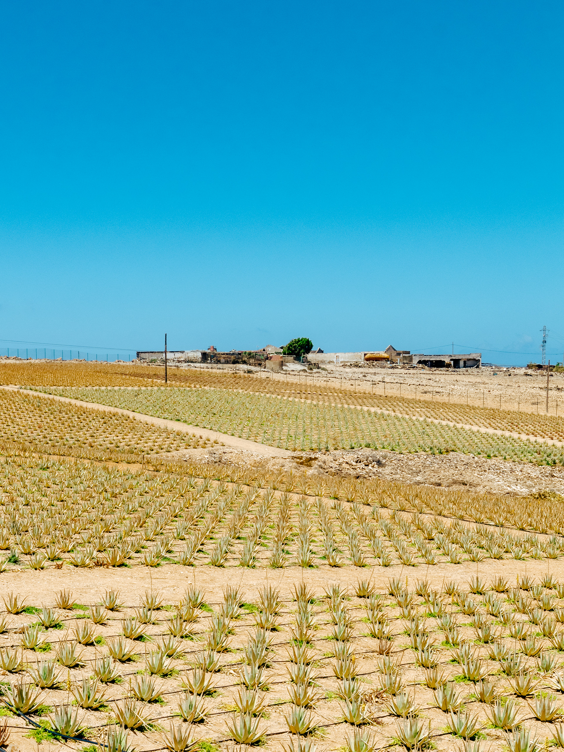 Gran Canaria -vnitrozemí