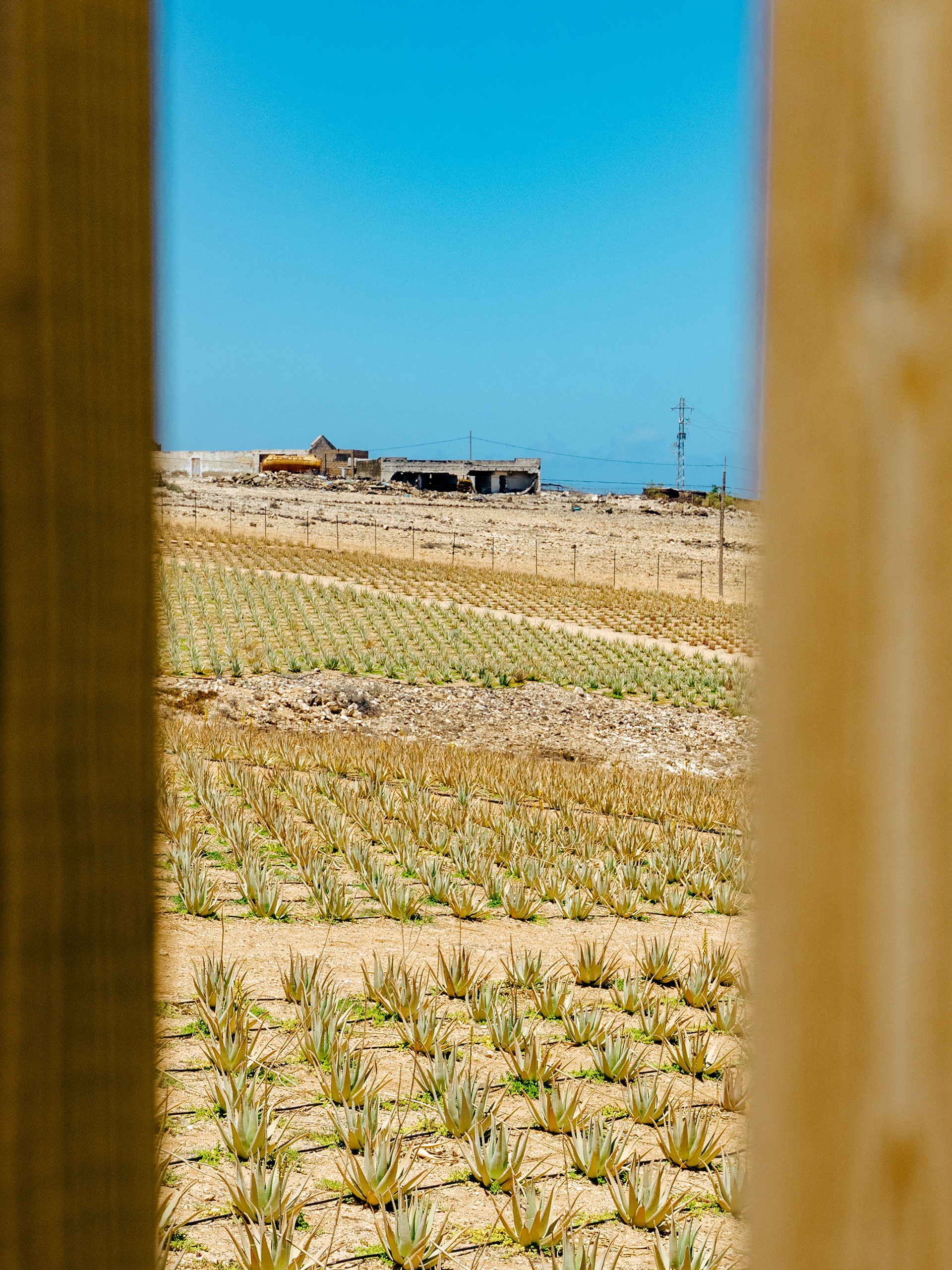 Gran Canaria -vnitrozemí