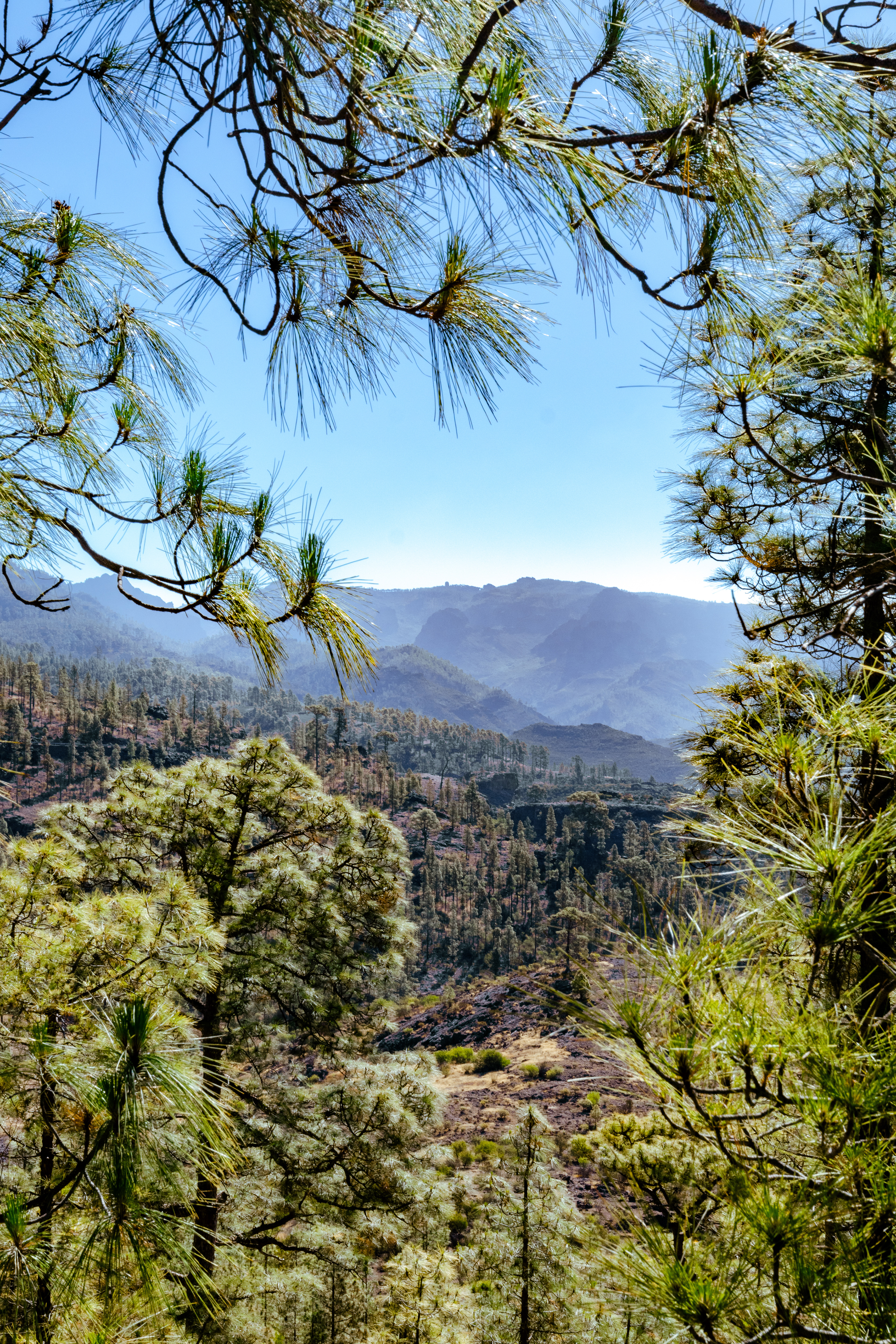 Gran Canaria -vnitrozemí
