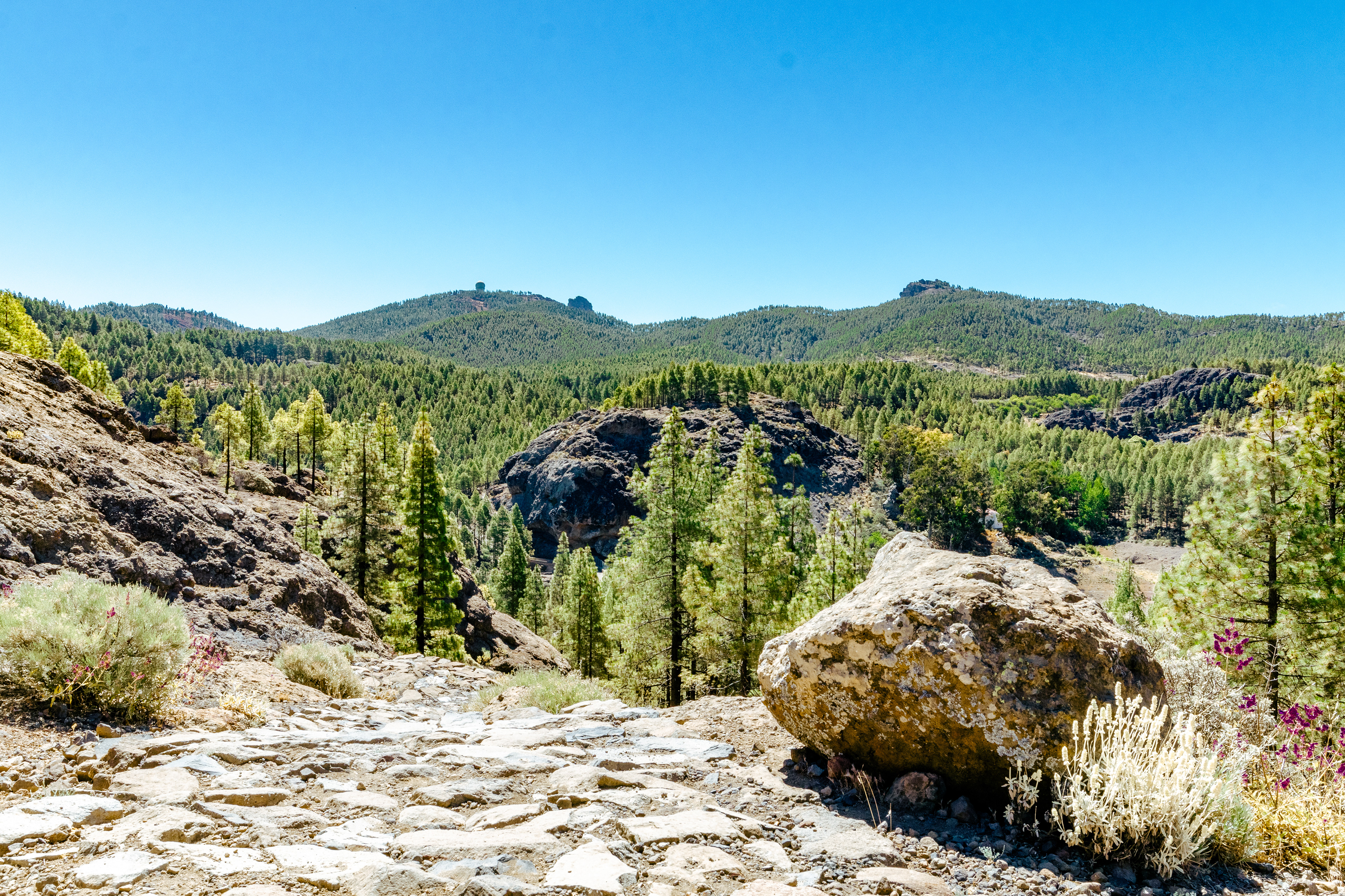 Gran Canaria - Pico de Las Nieves