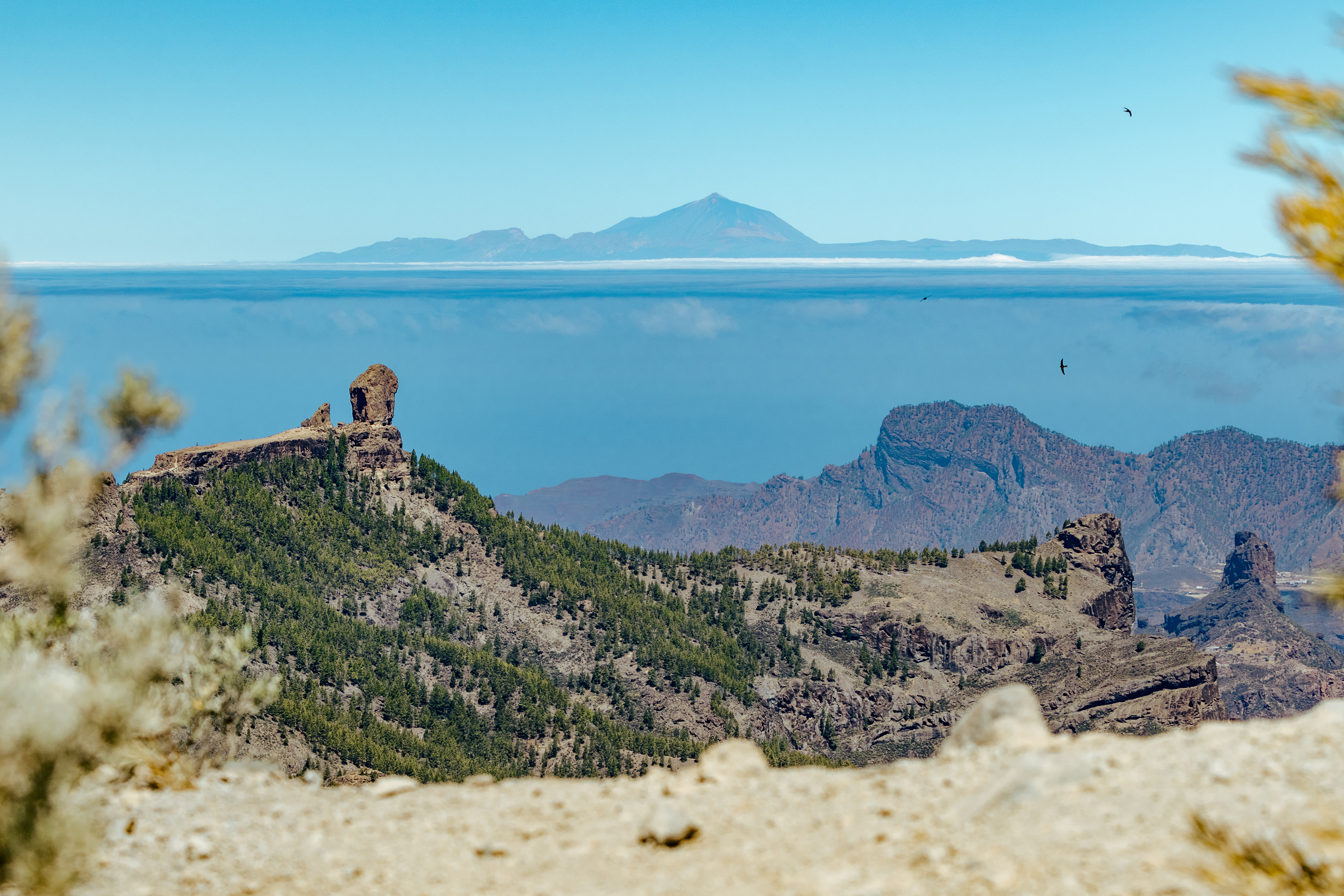 Gran Canaria - Pico de Las Nieves