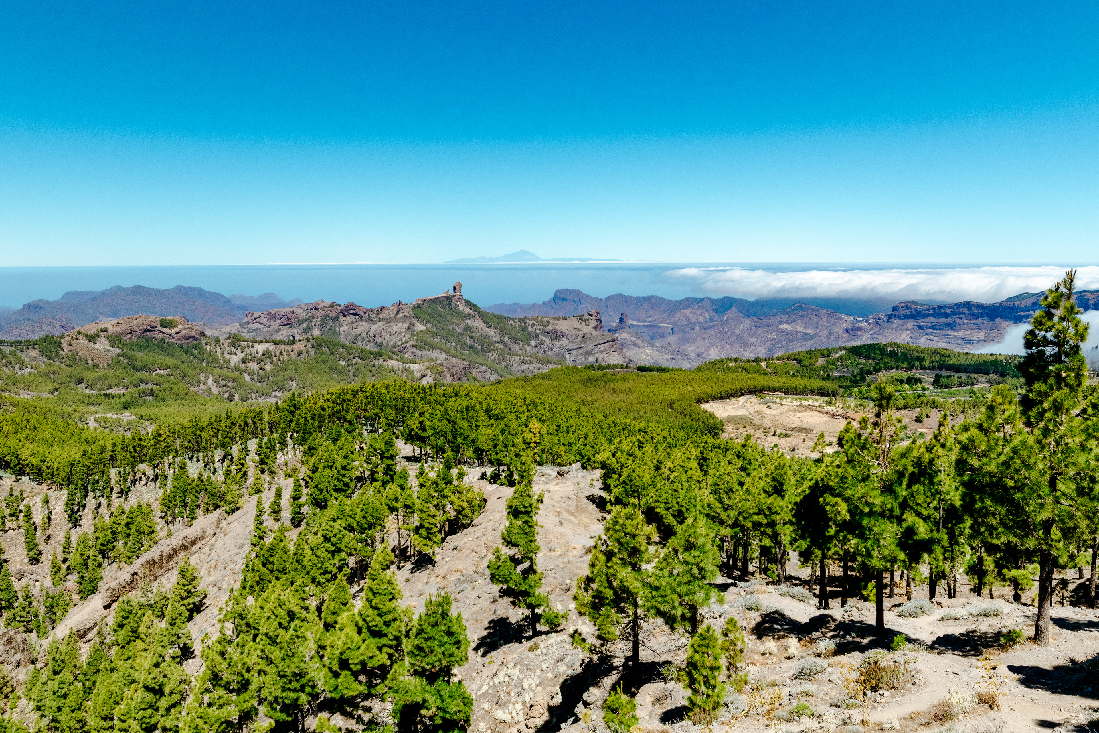 Gran Canaria - Pico de las Nieves