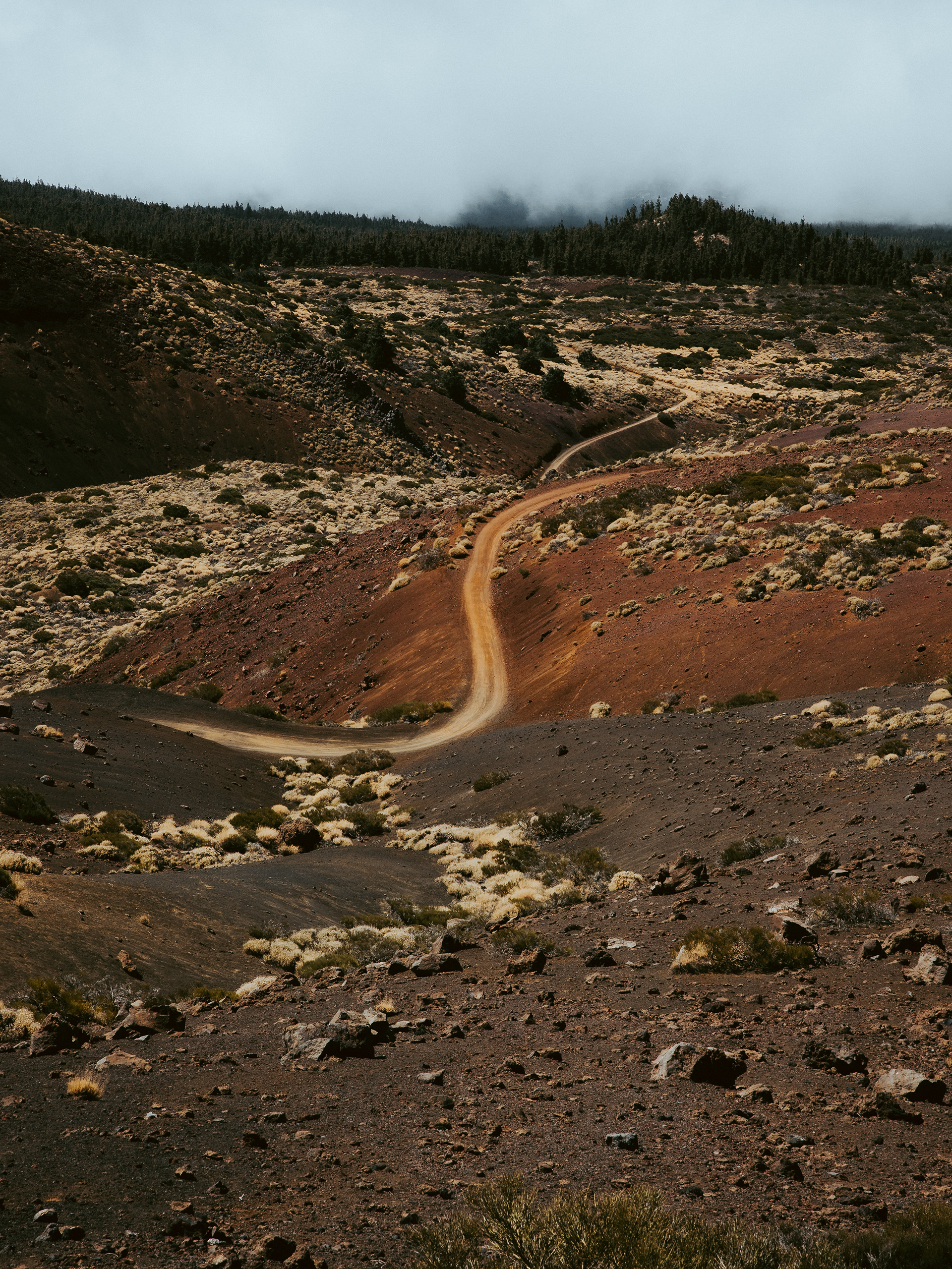 Tenerfe - Parque Nacional del teide