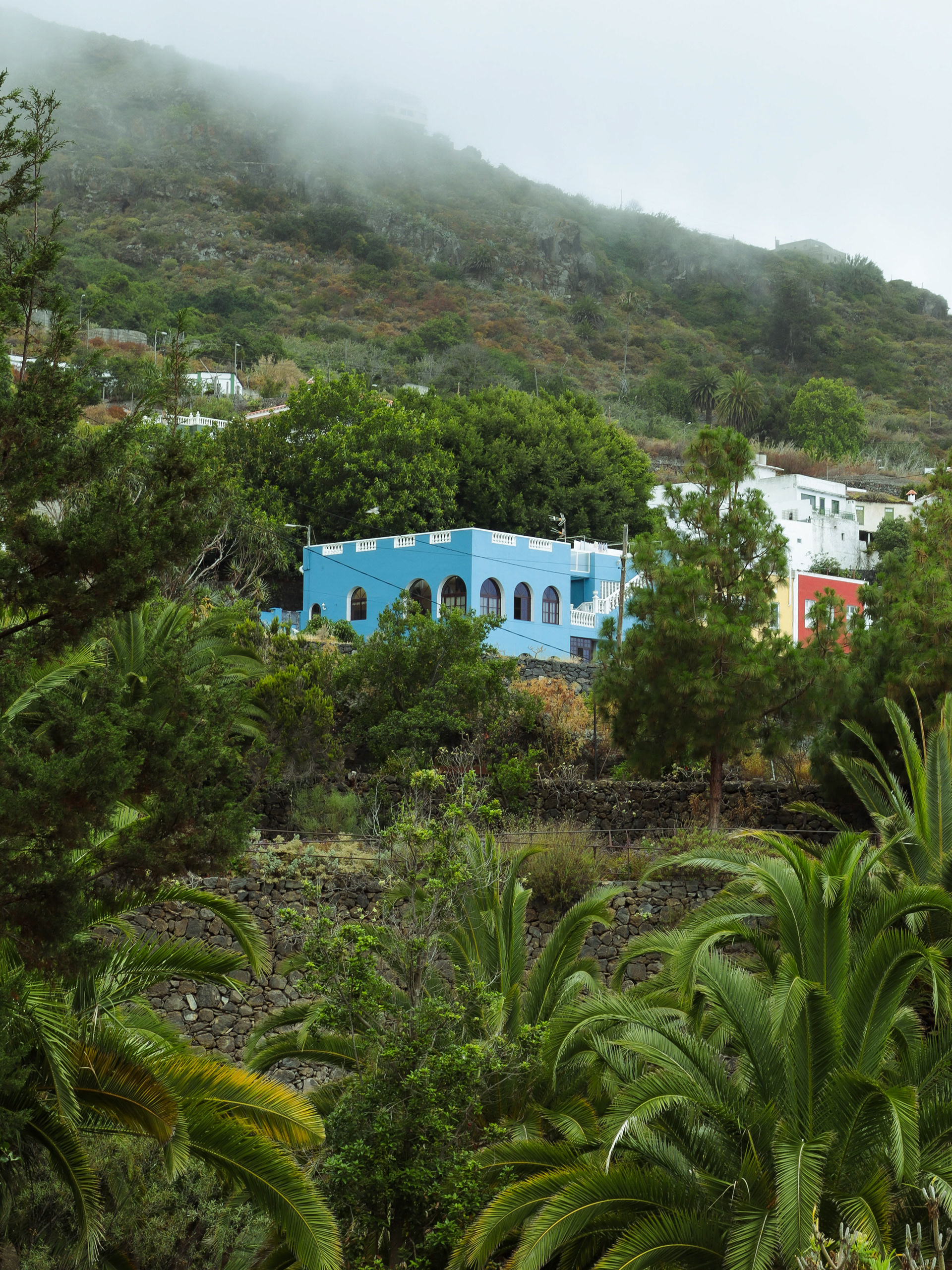 Tenerife - Parque del Drago