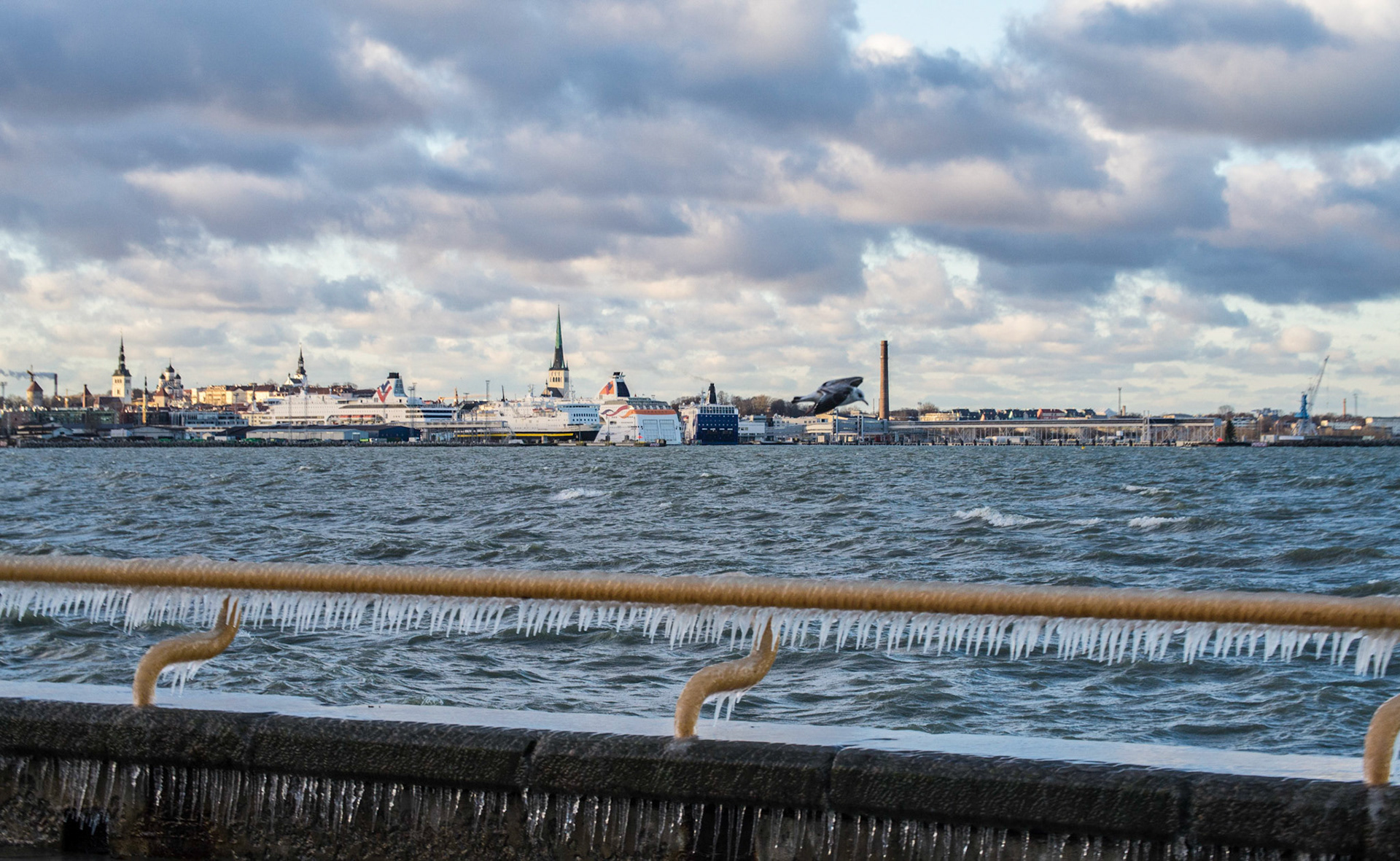 Freeze & Shoot. Winter 2015-2016 in Tallinn.jpg