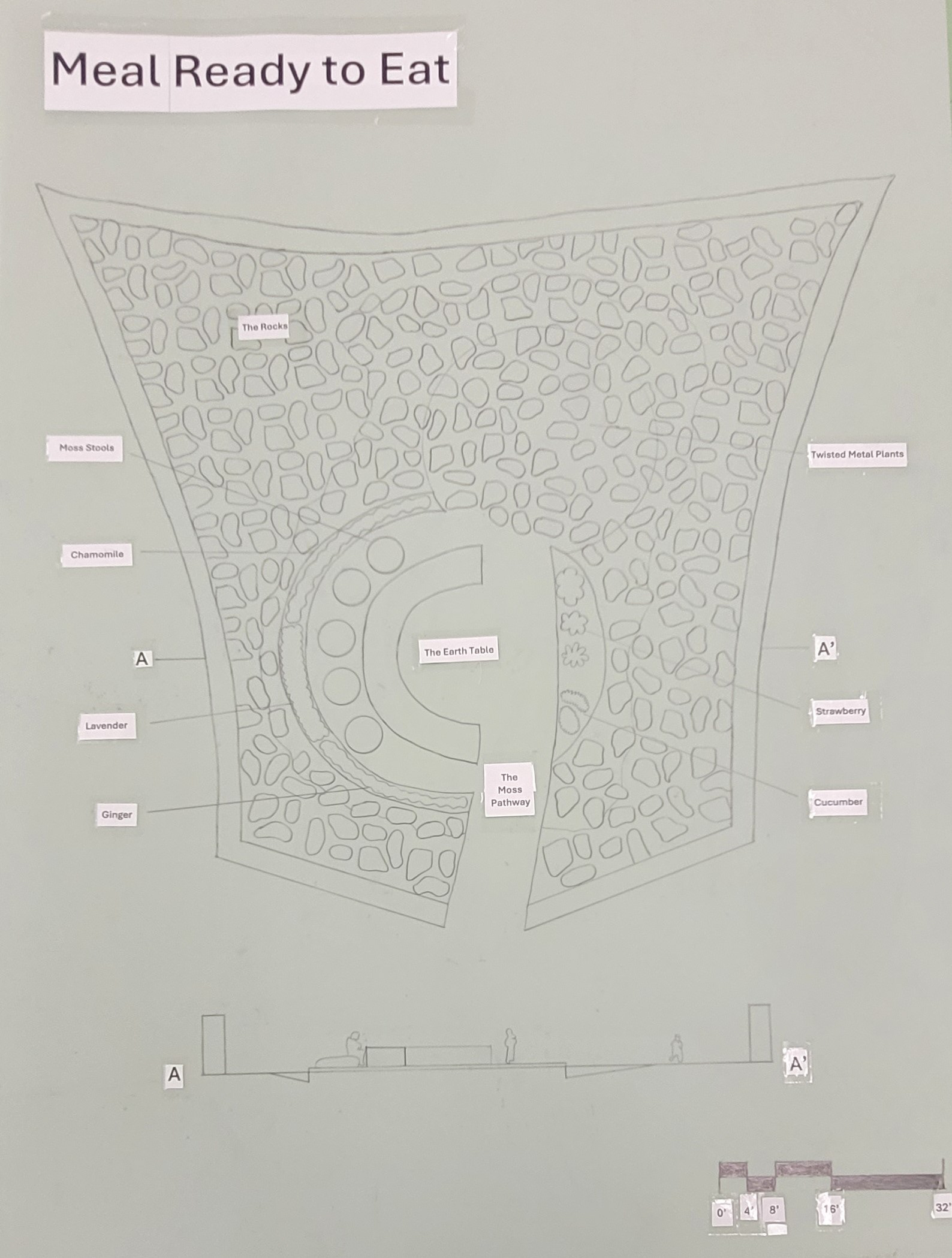 Drafted lines and text on mylar