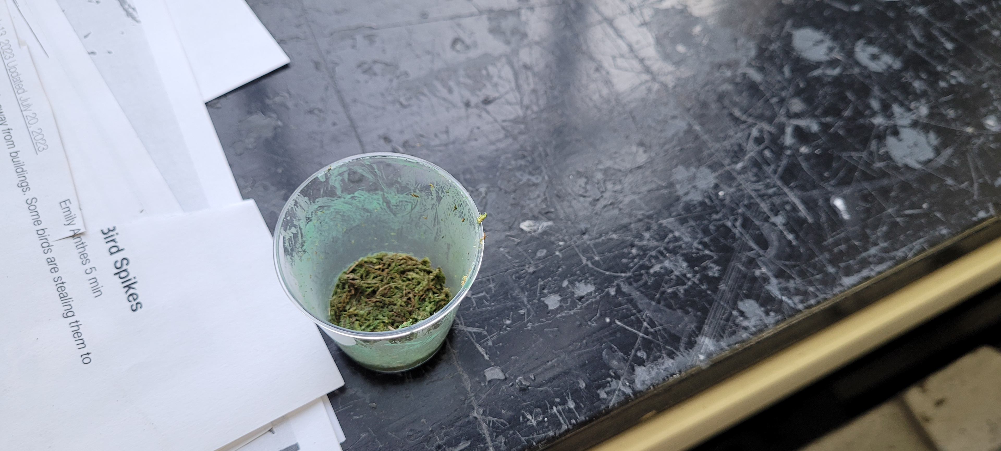 Creation of moss stools, using moss, glue, and paint