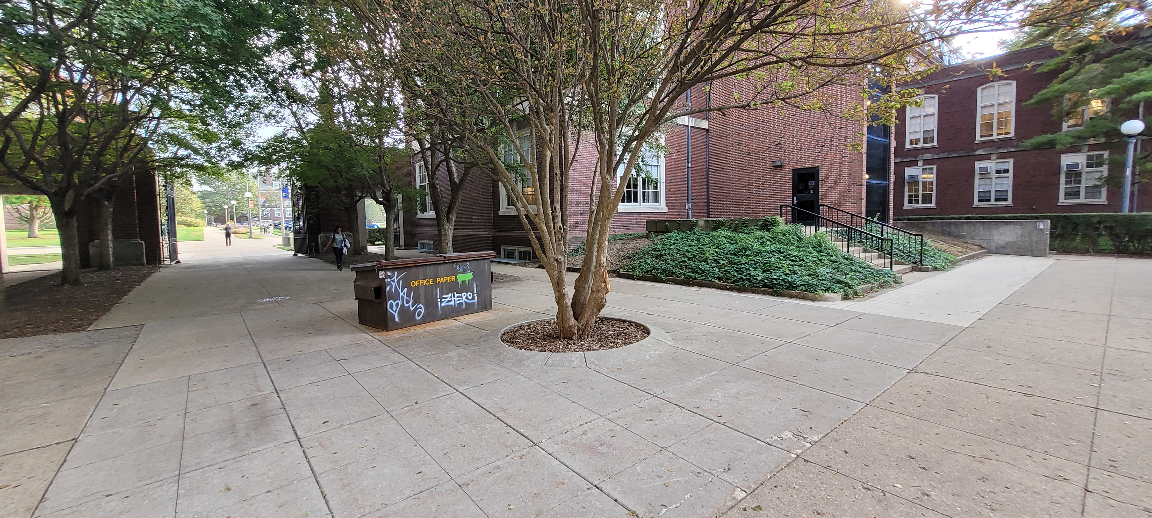 An unsightly dumpster and dying tree block the shortest path of travel through the space