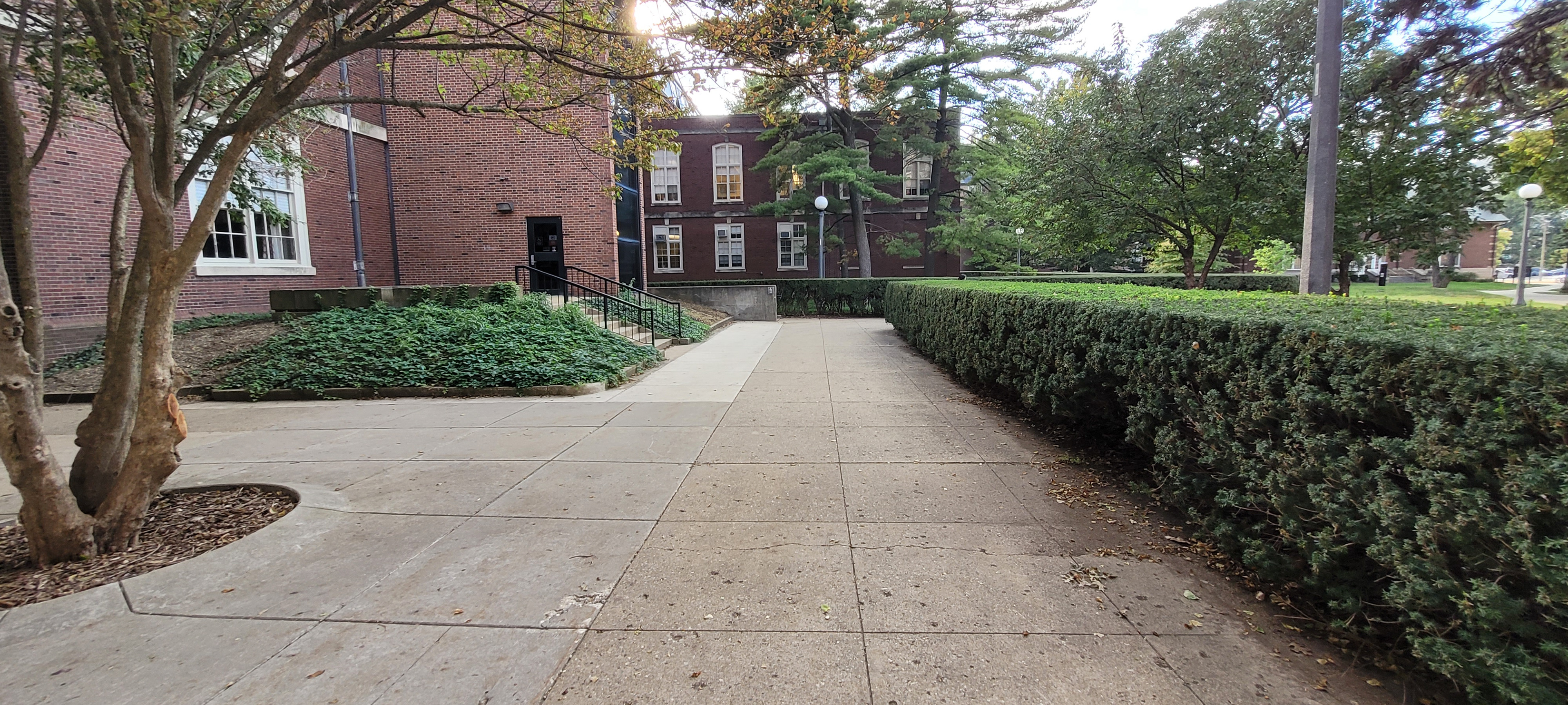 Eroding soil and overgrowth detract from the visual appeal of the space