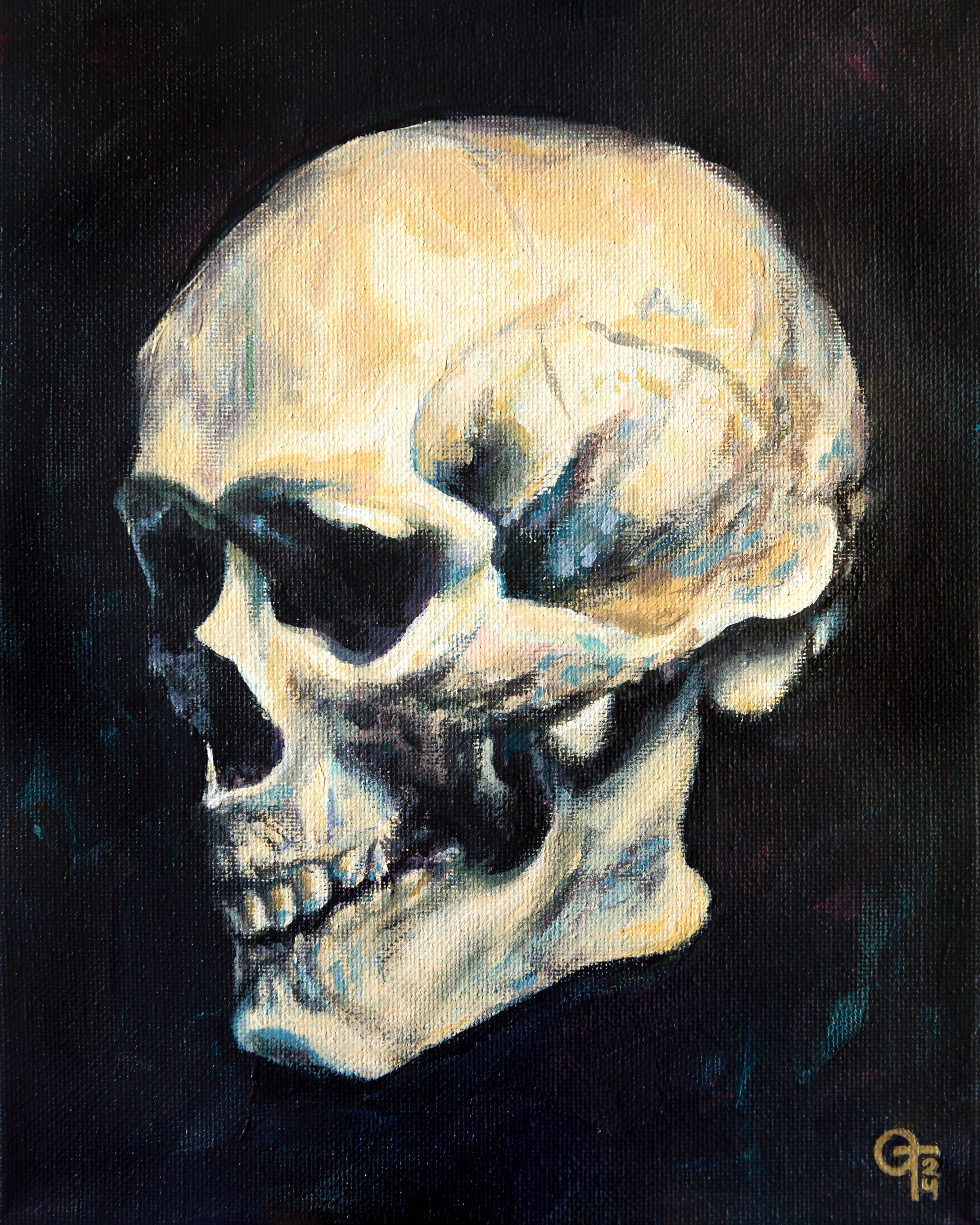 Skull, 8x10in acrylic on canvas (2024)