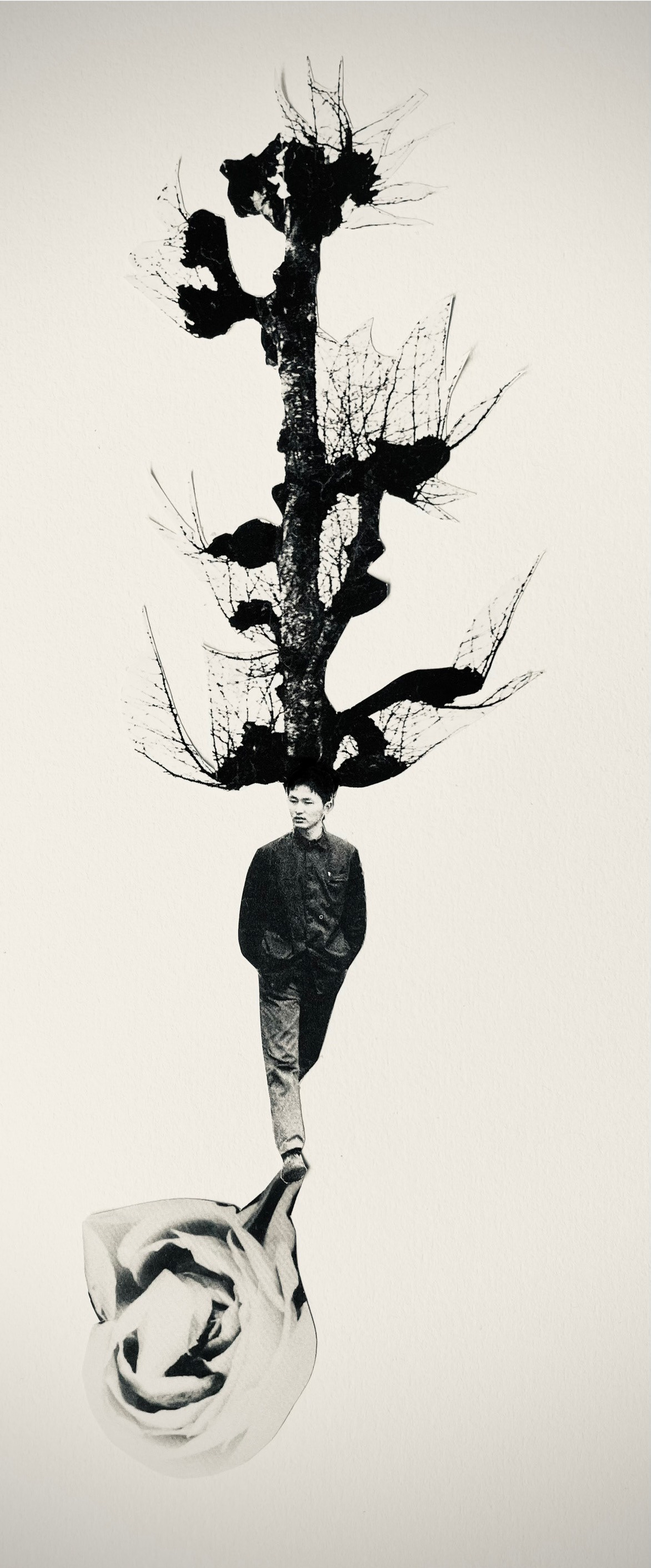 Magazine, Papier, 2025