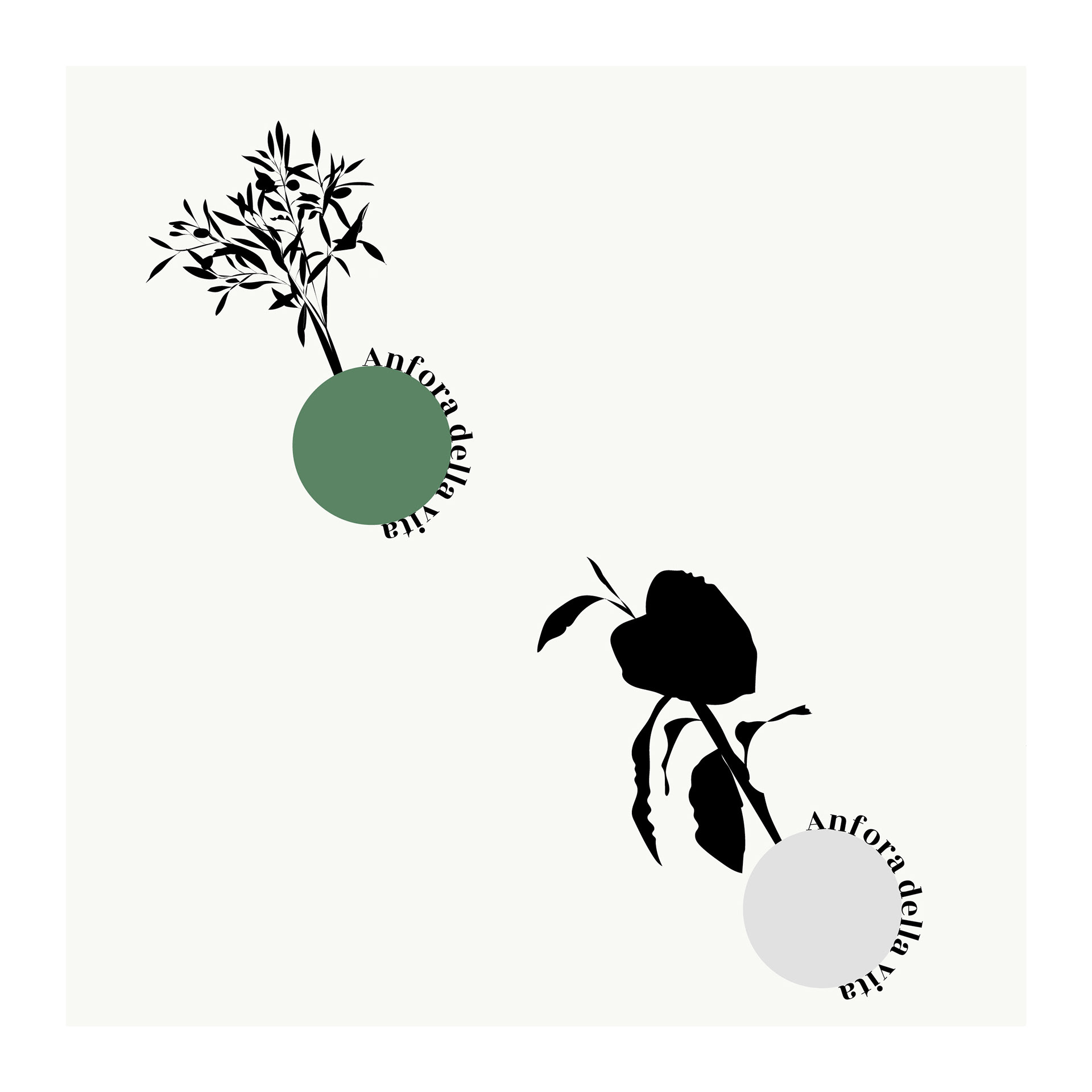 Illustrator / Indesign, 2021