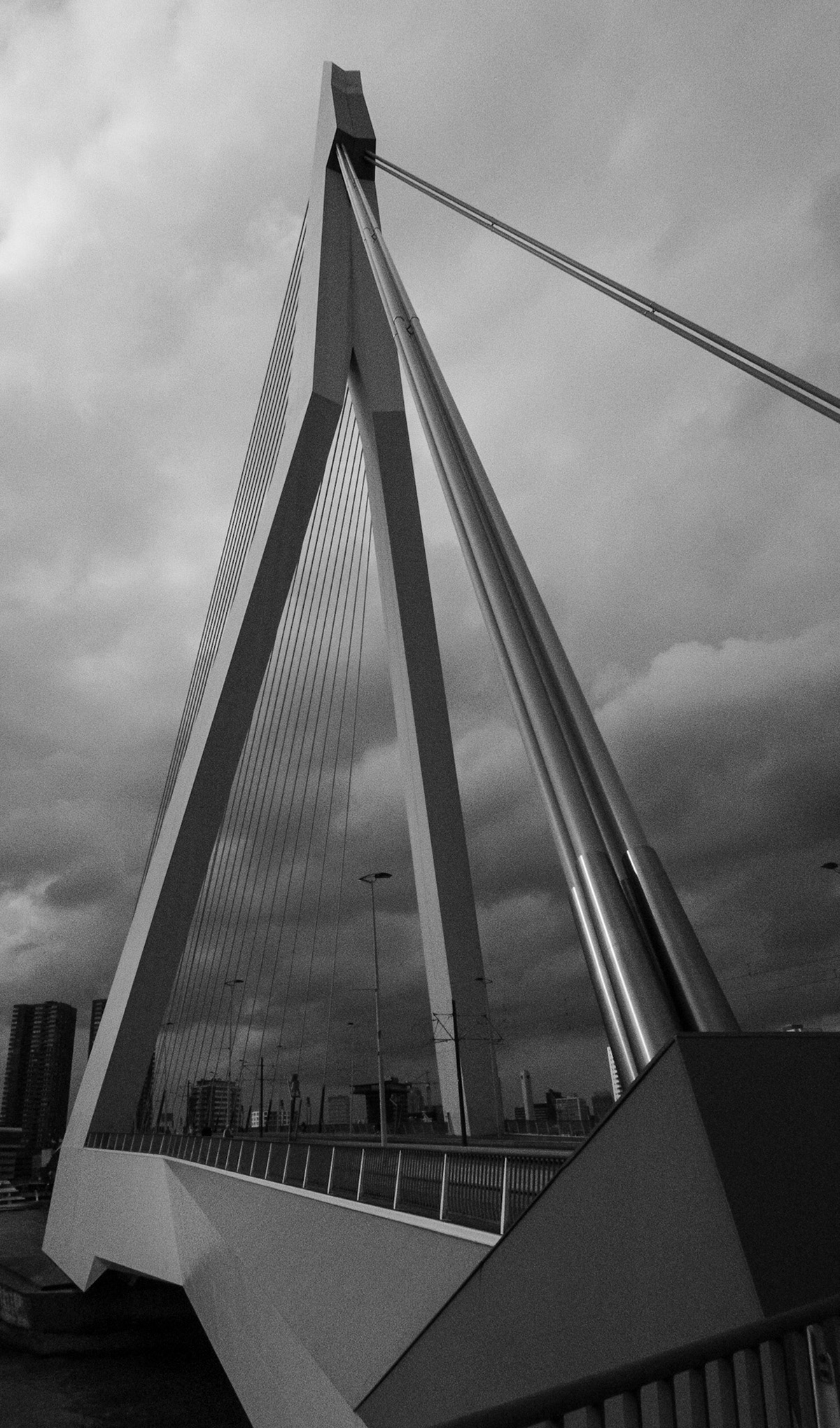 Erasmusbrug