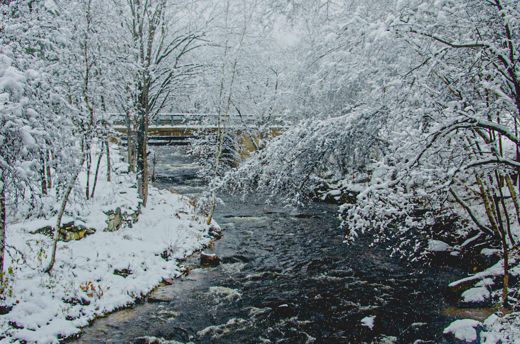 Tioga River  140 bridge