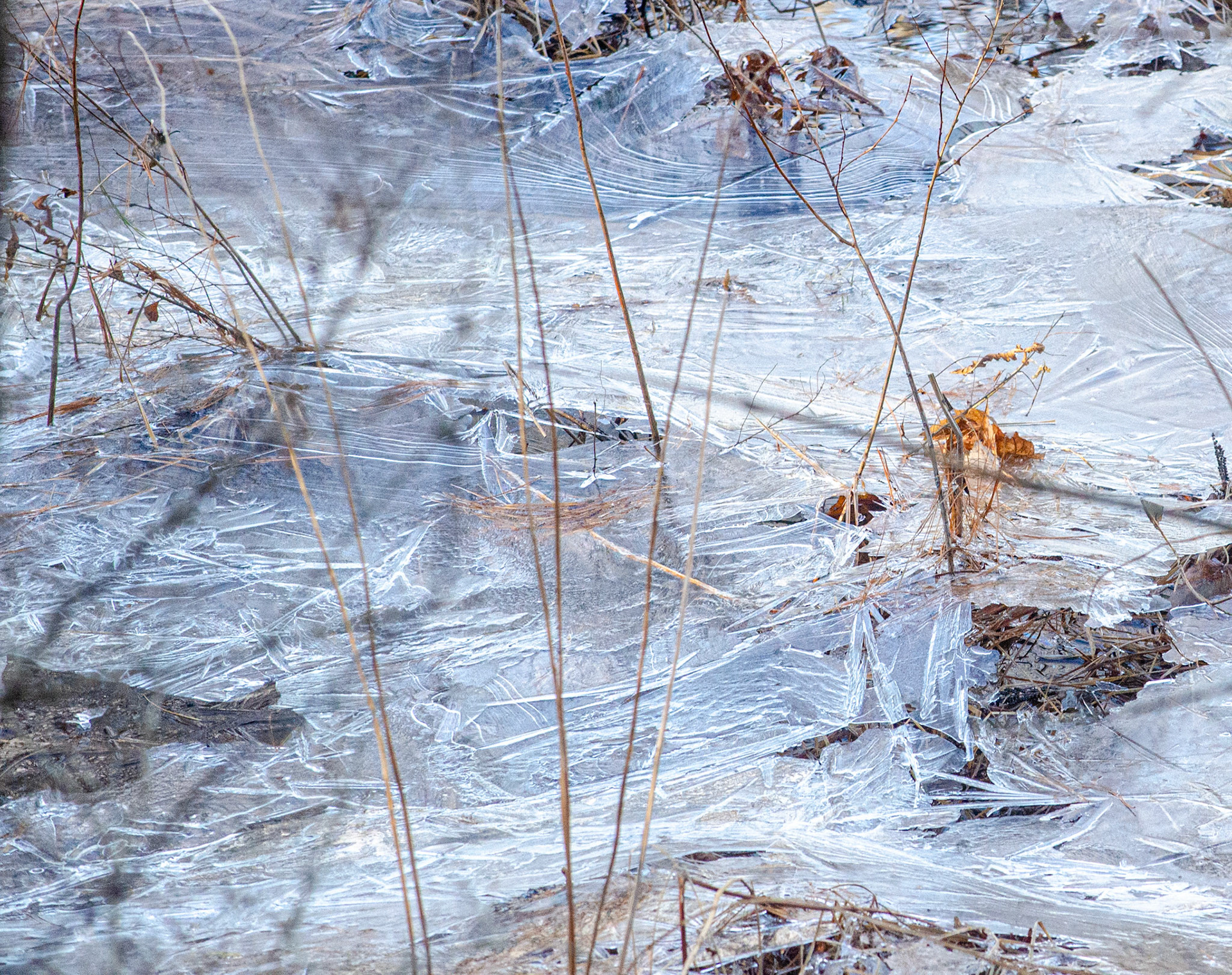 after the fairy skate