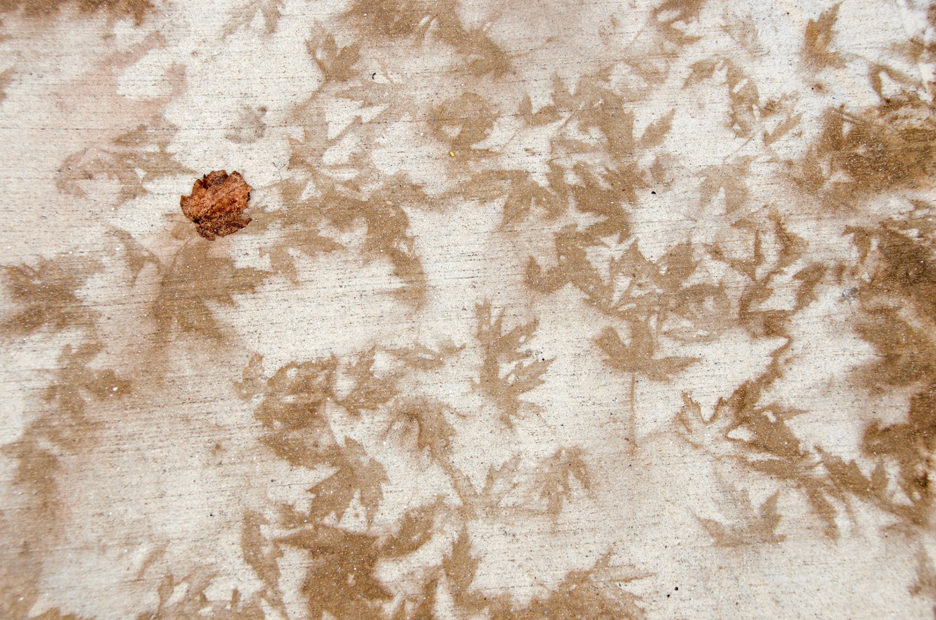 sidewalks of Belmont NH