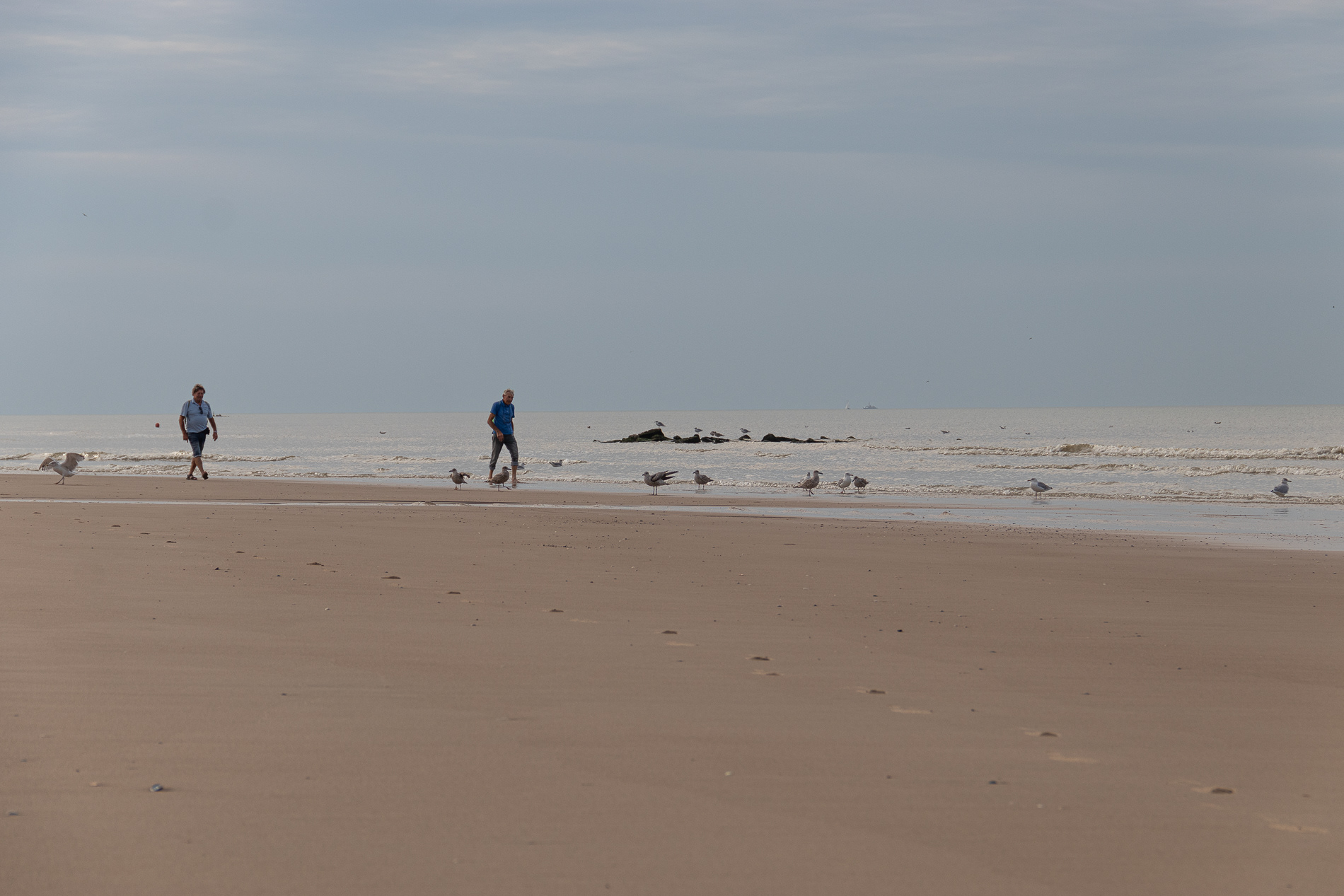 @the sea