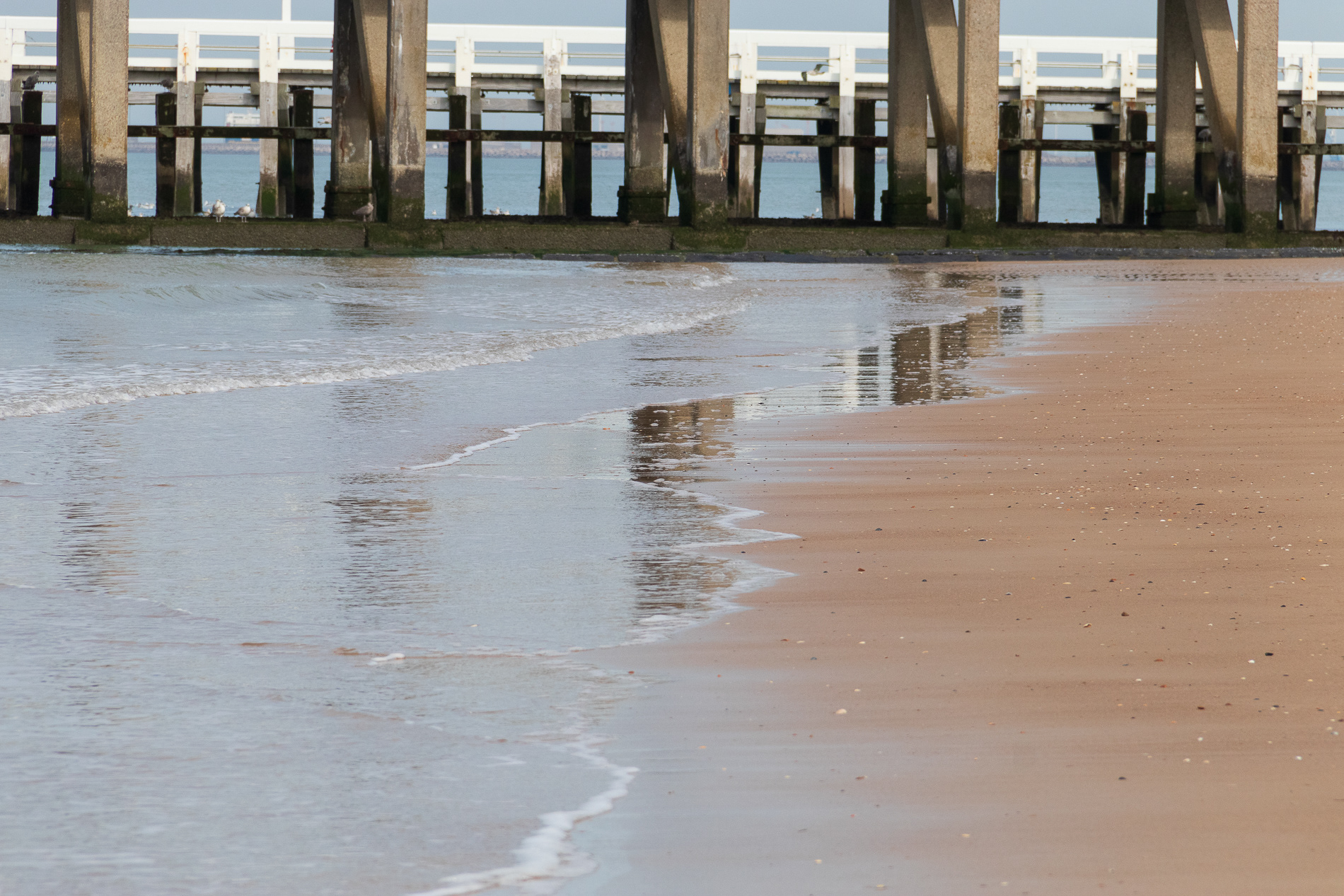 @the sea