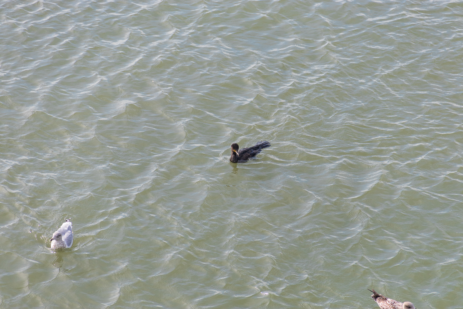 @the sea
