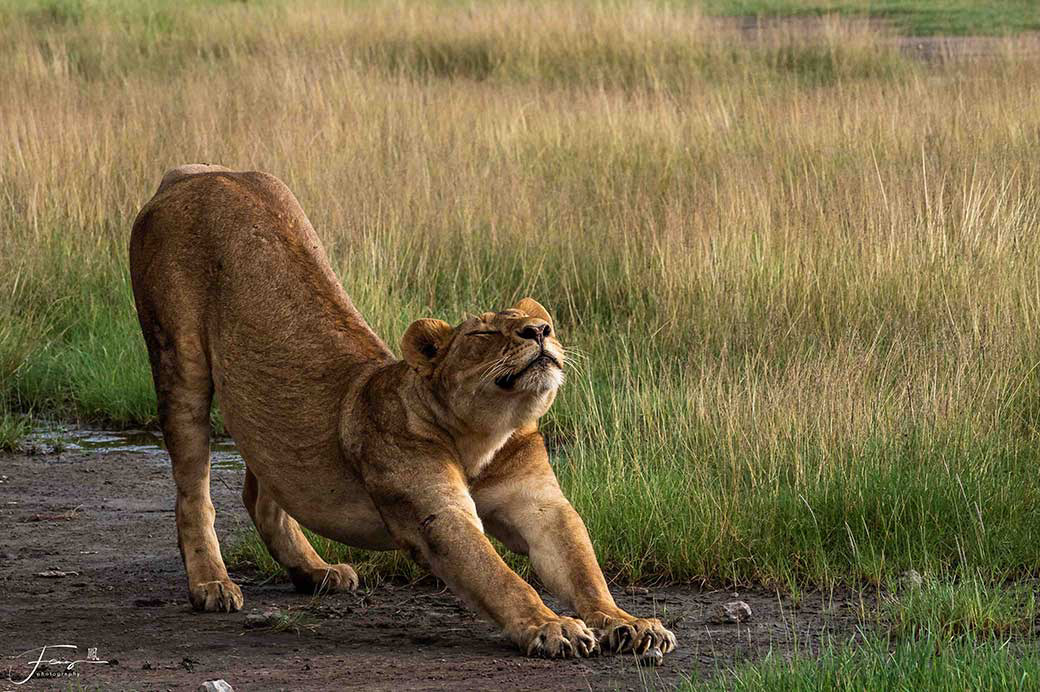 Tanzania