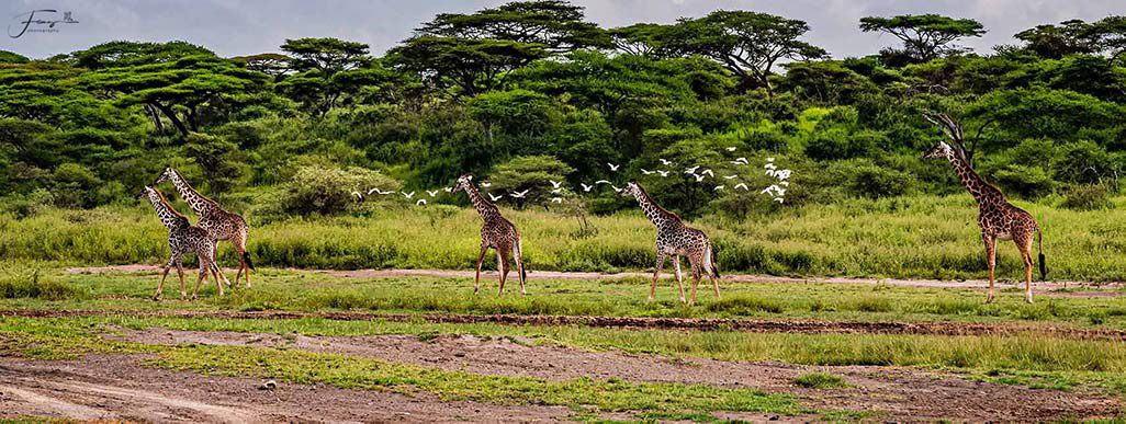 Tanzania