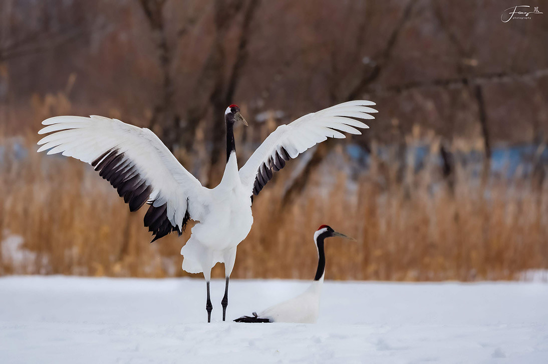 Hokkaido, Japan