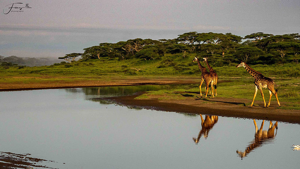 Tanzania