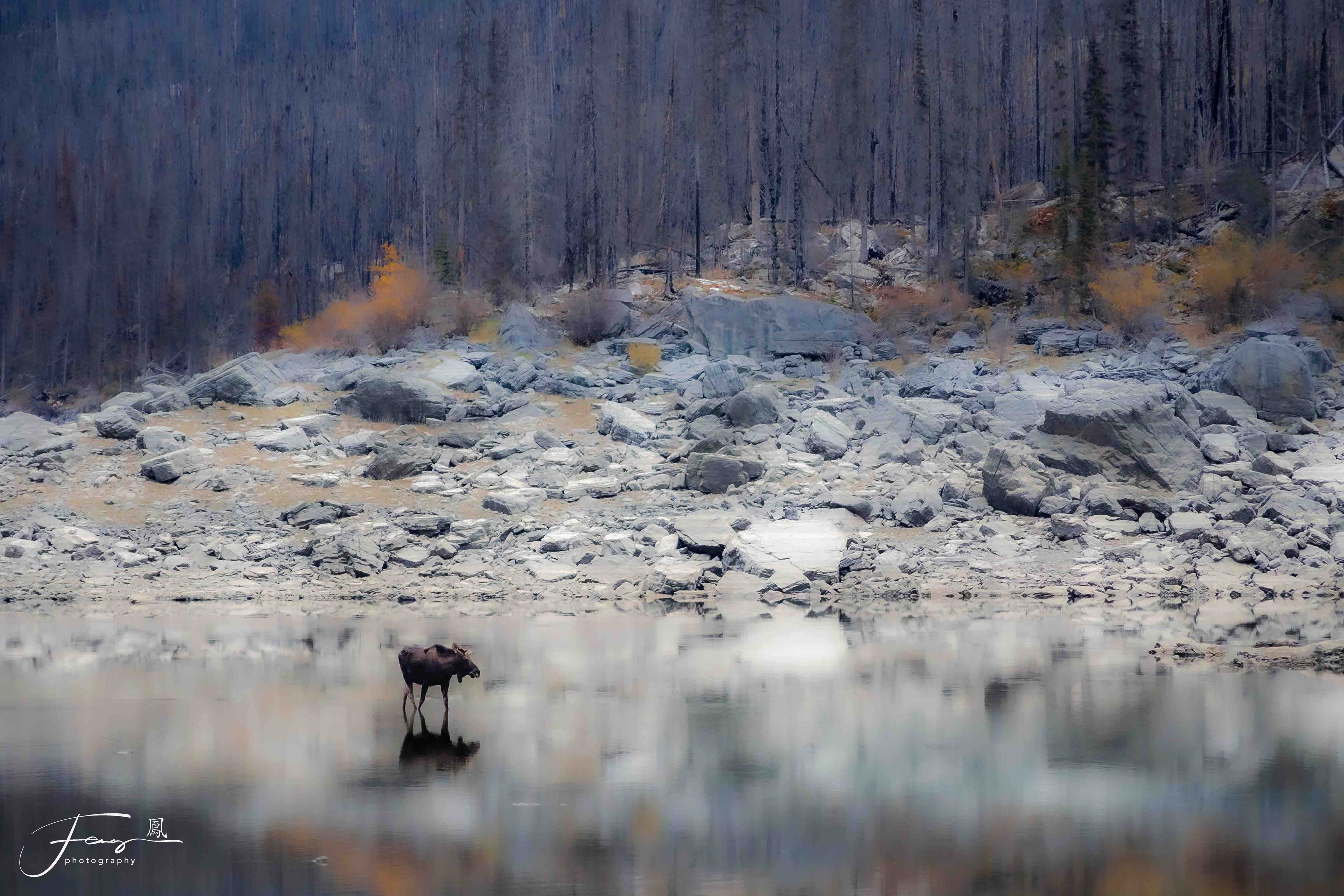 Jasper National Park, Canada
