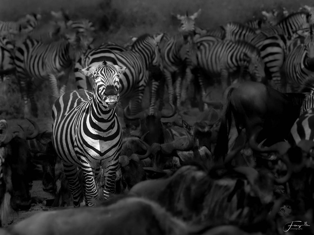 Tanzania