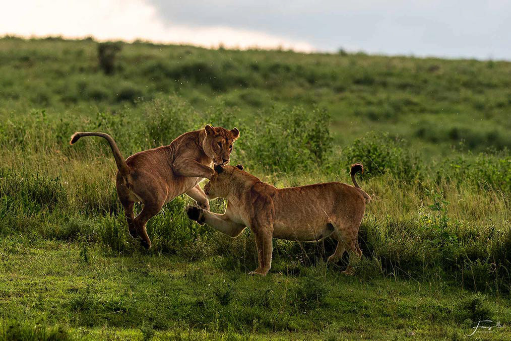 Tanzania