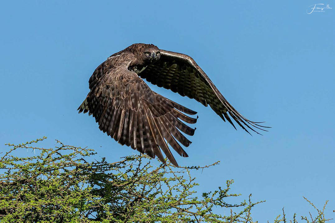Tanzania