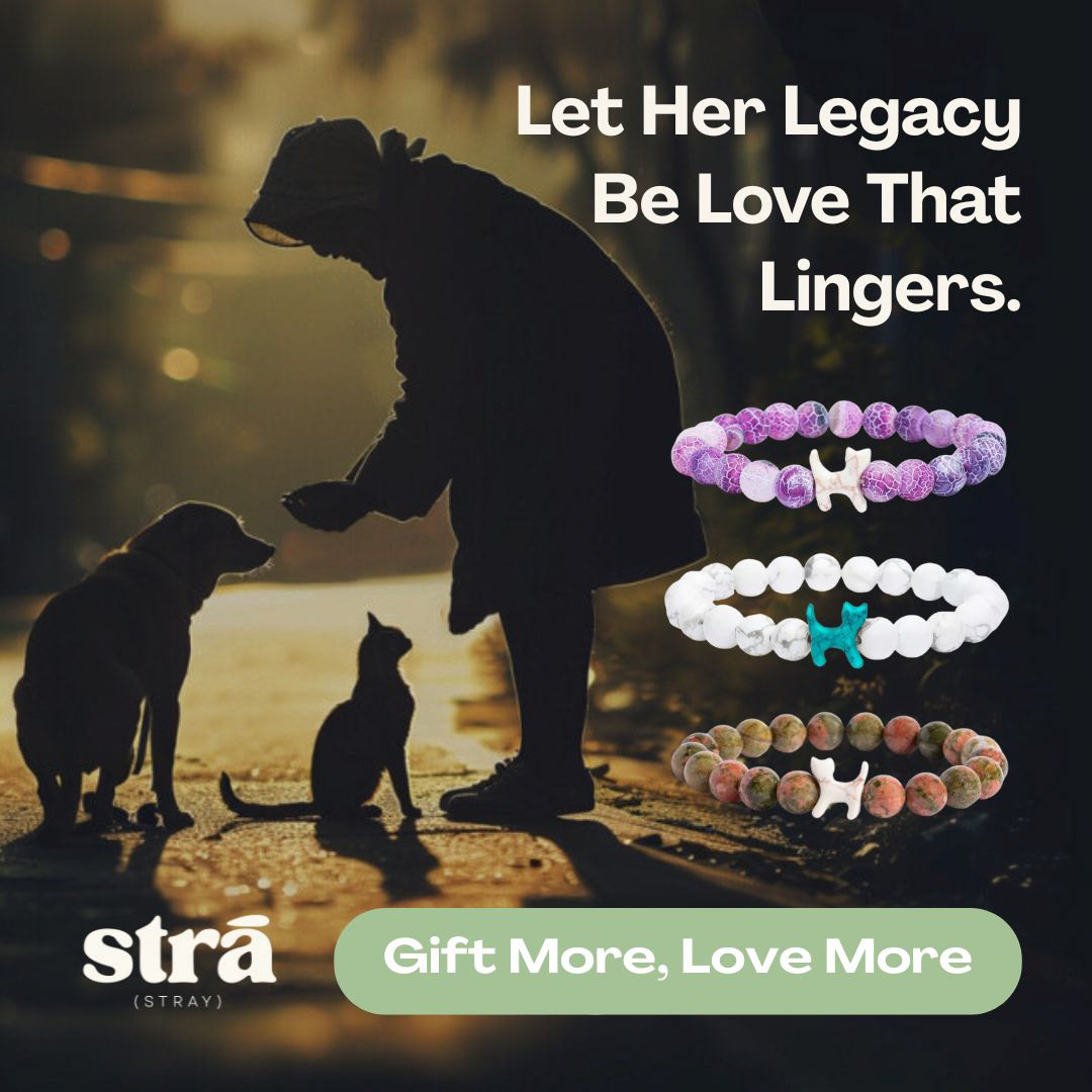 Meta ads