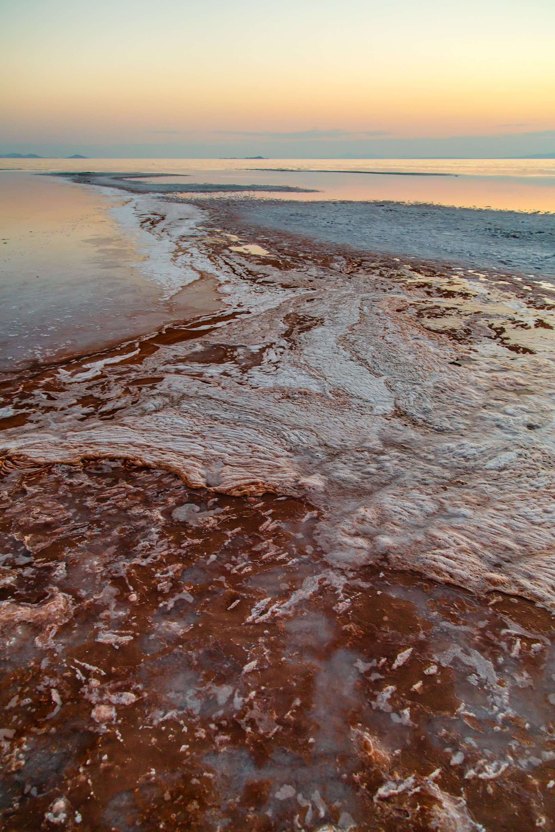 Algae Bloom