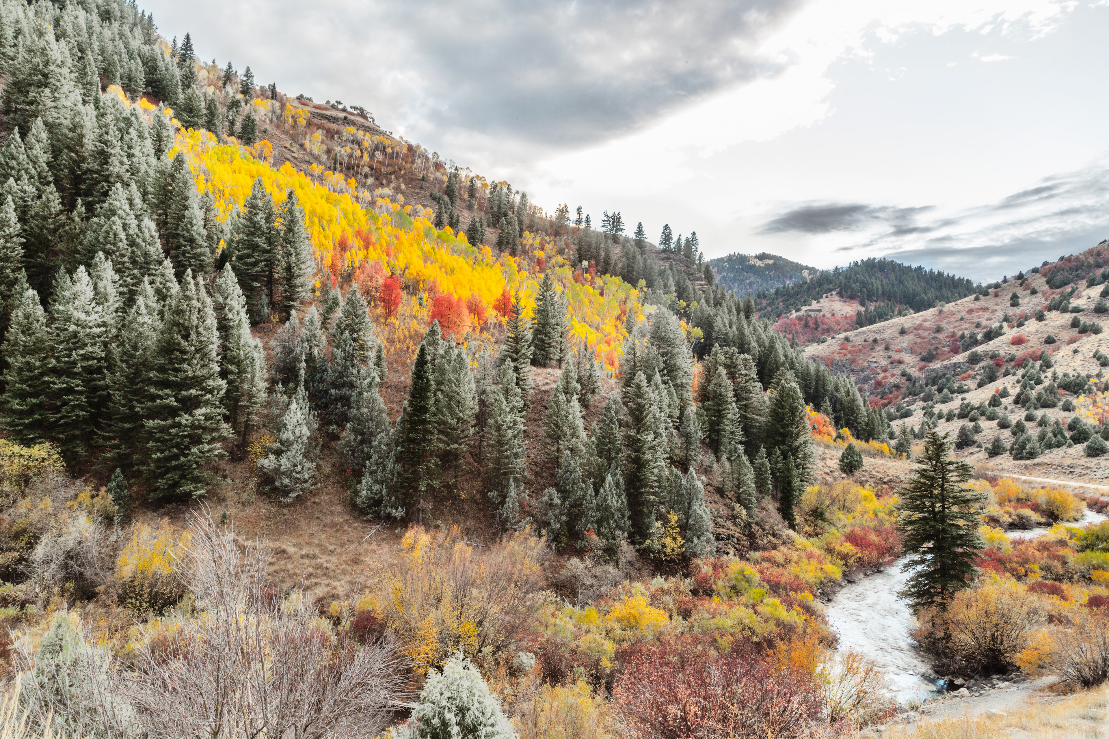 Fire on Ice in the Fall