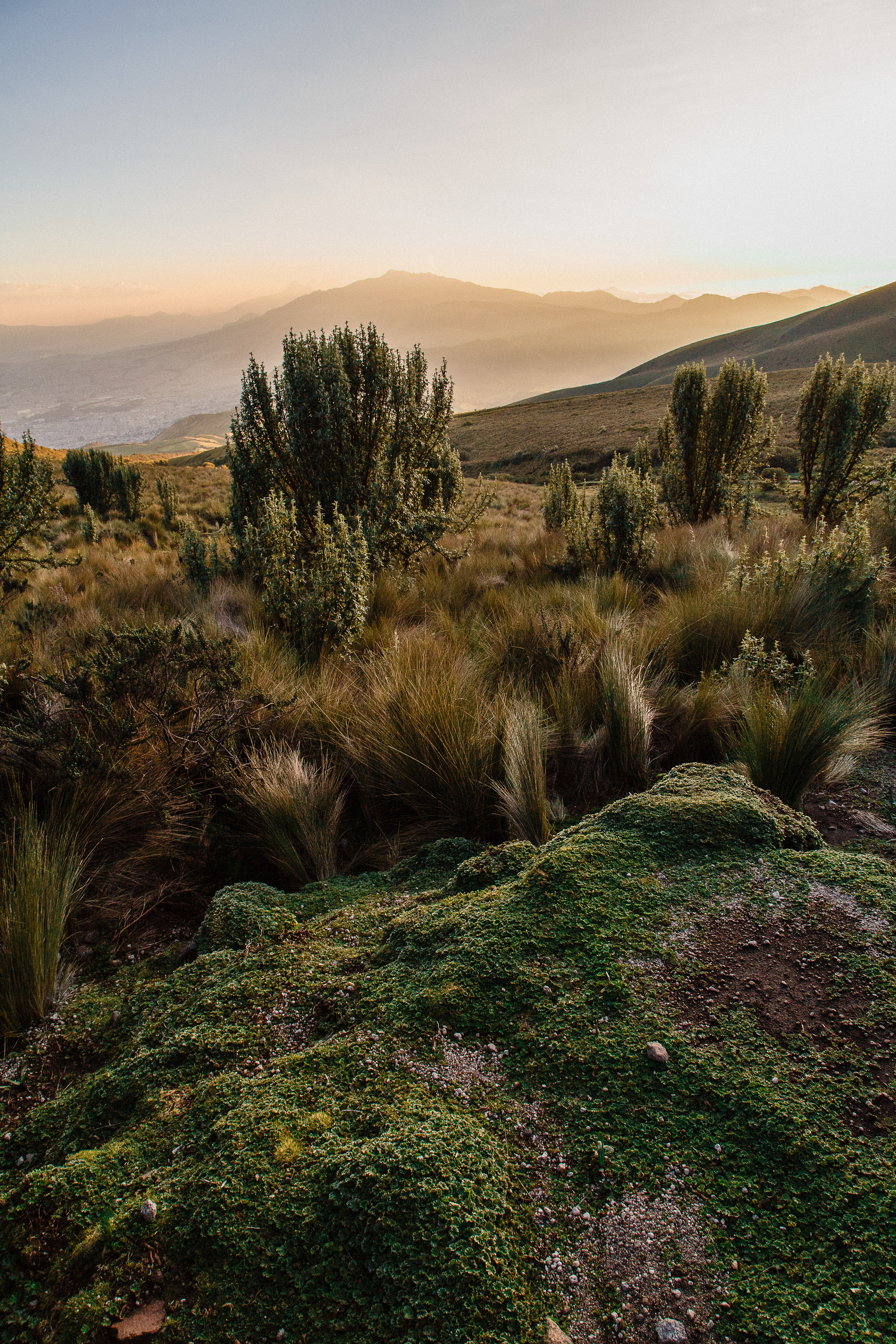 Evening Light on Mountain