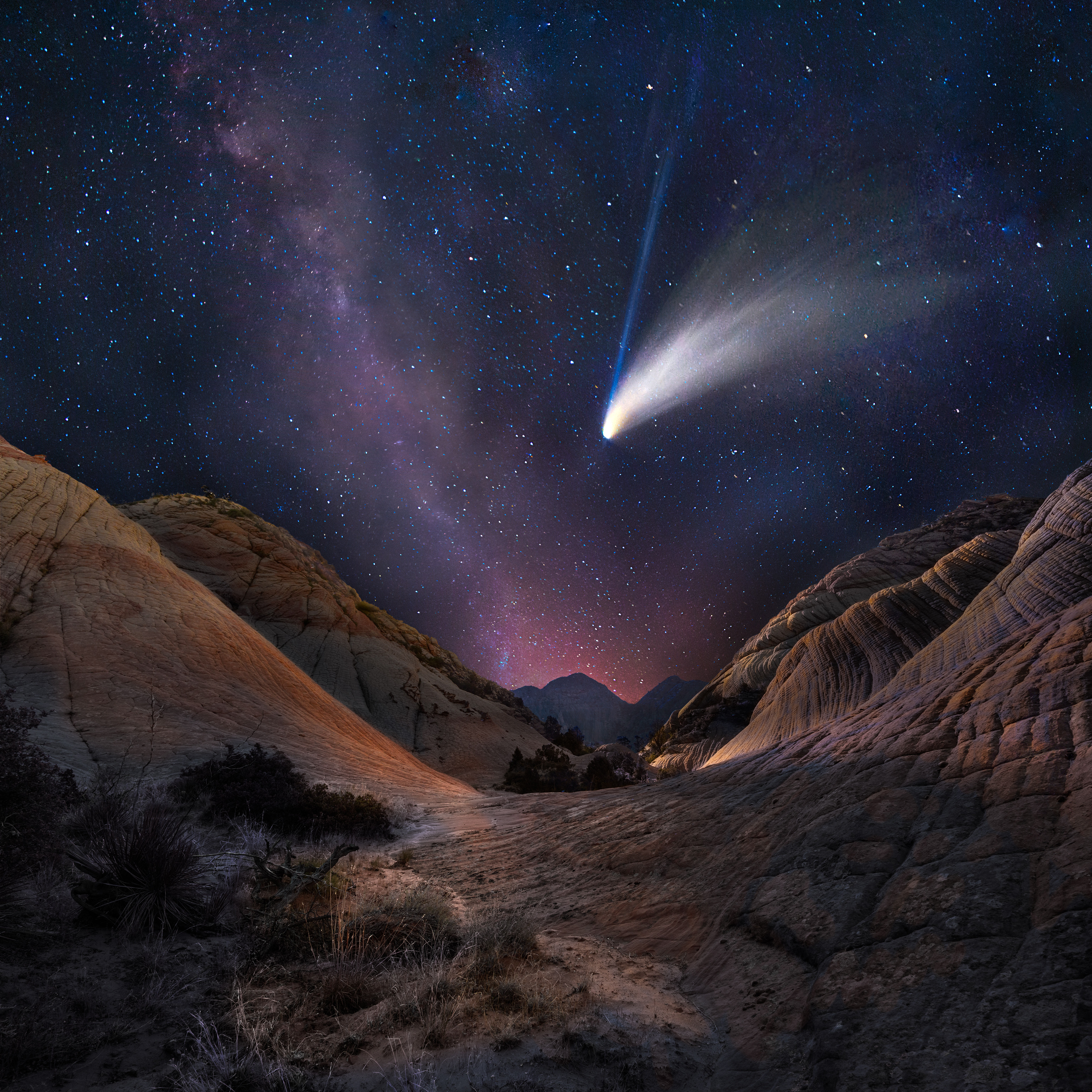 NEOWISE