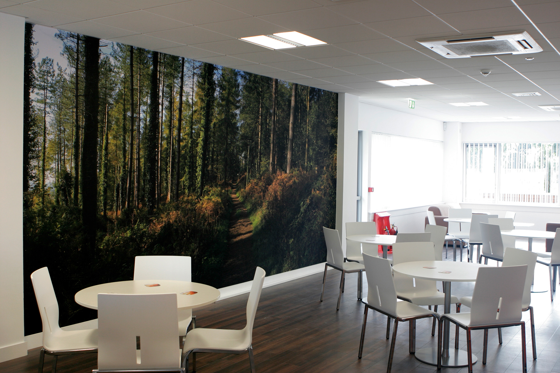 Woods wall graphic used in the dining space