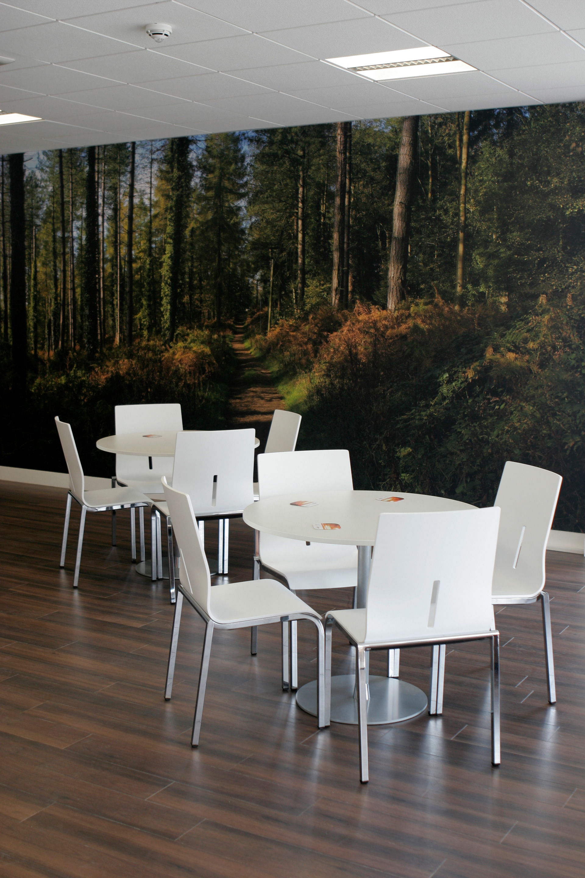 Woods wall graphic used in the dining space