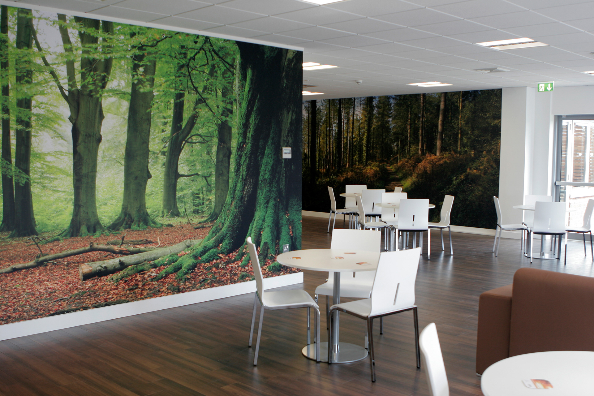 Woods wall graphic used in the dining space