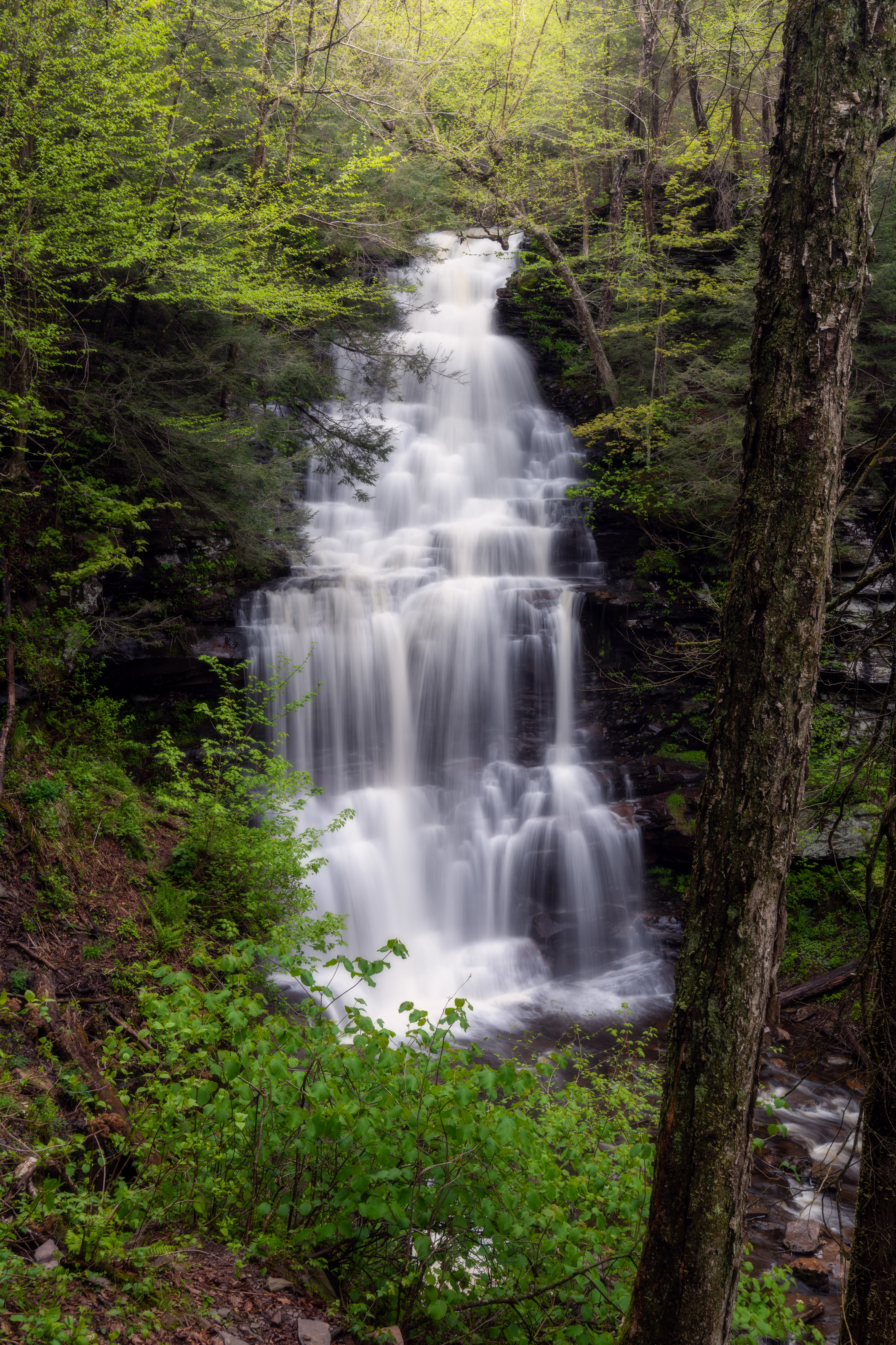 Ricketts Glen State Park, USA