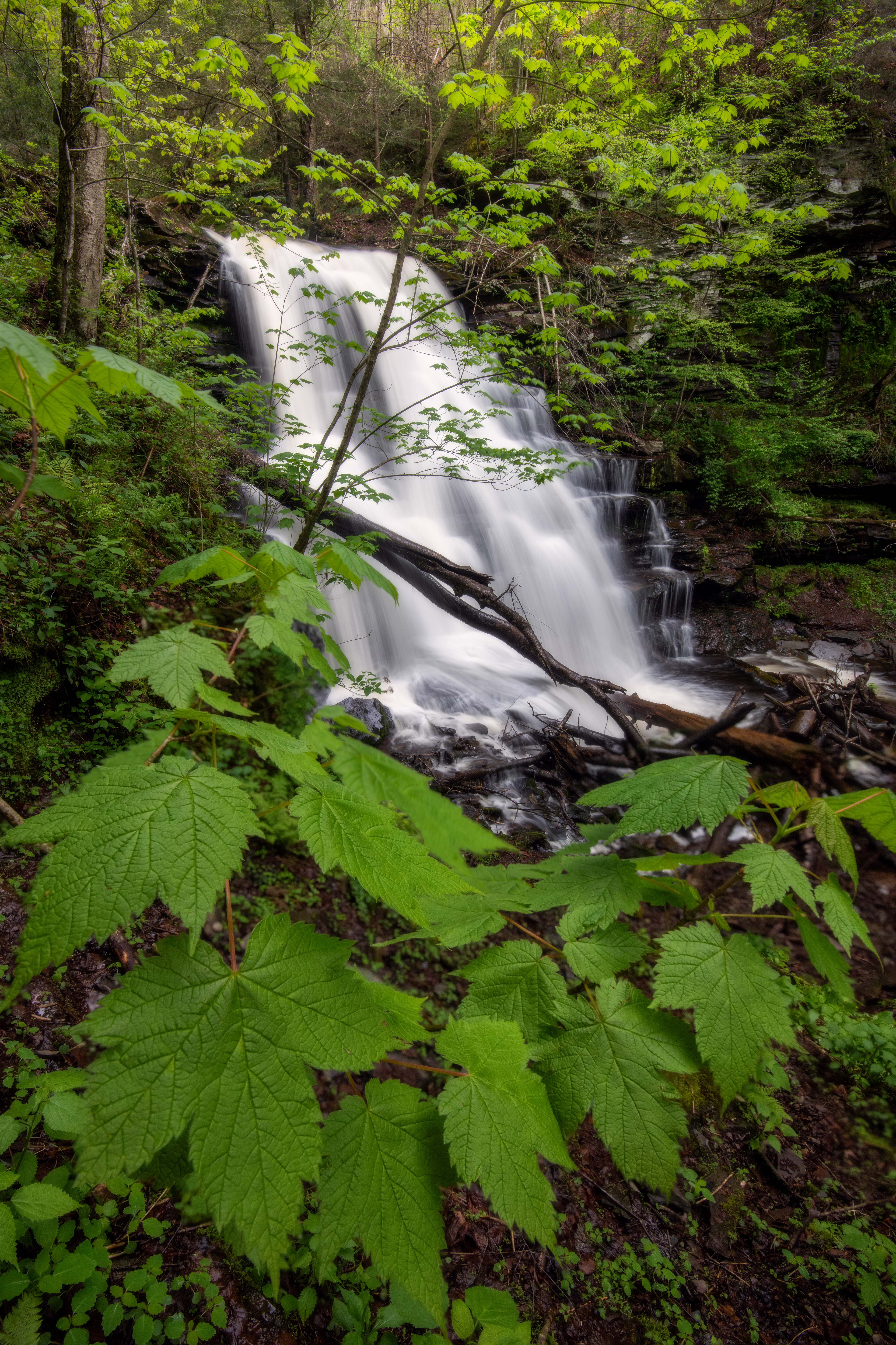 Ricketts Glen State Park, USA