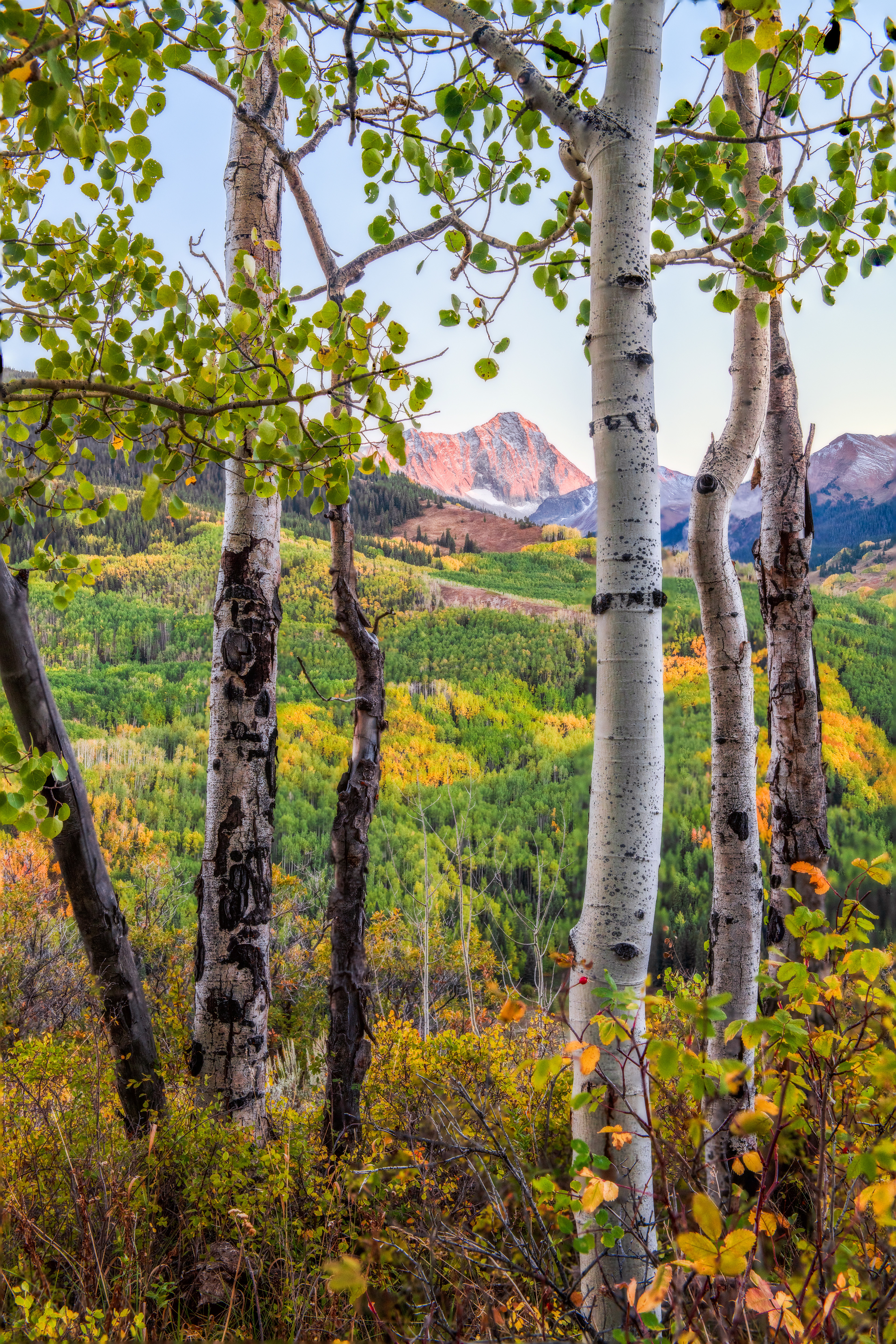 Maroon Bells-Snowmass Wilderness, USA