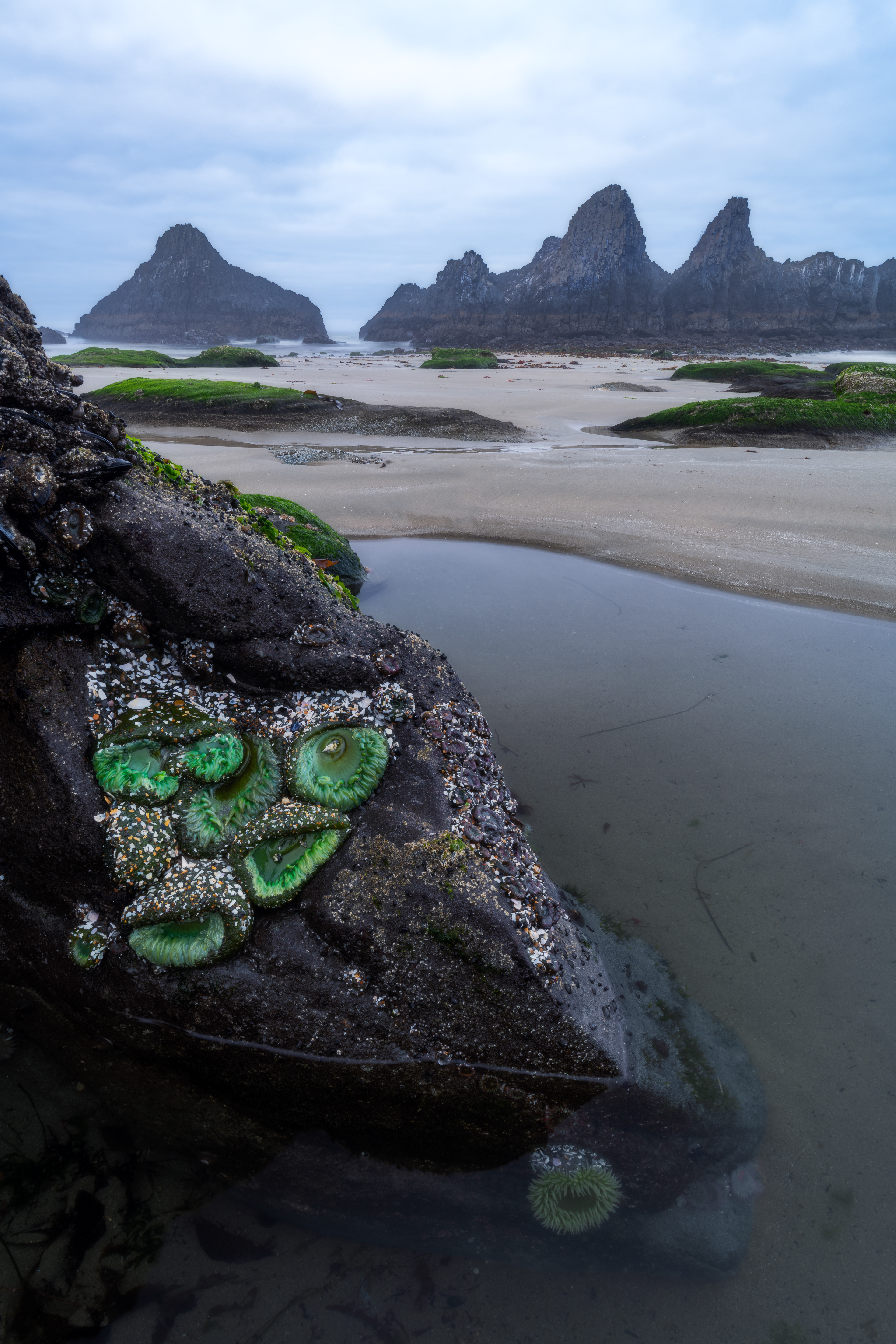 Oregon Coast, USA