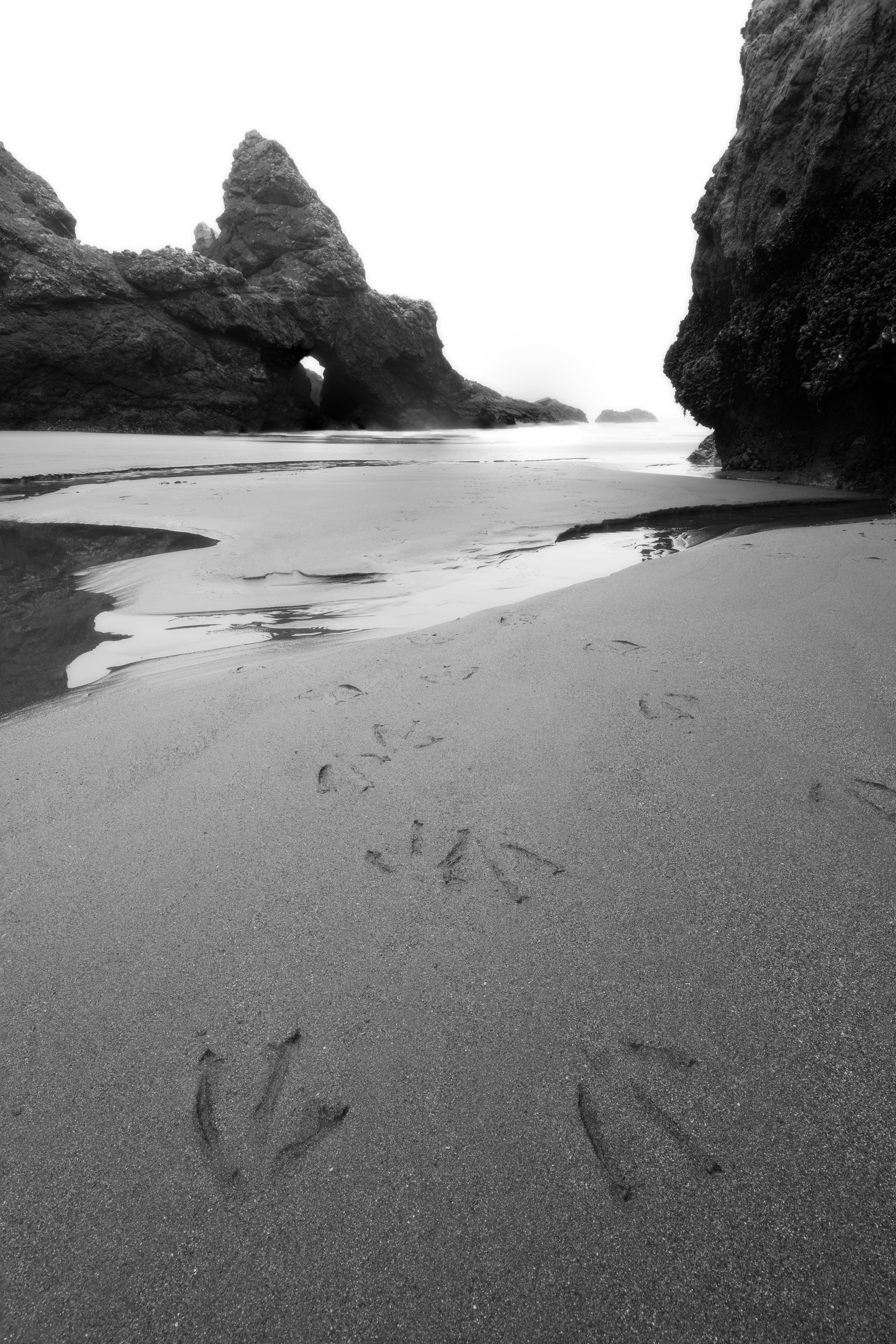 Oregon Coast, USA