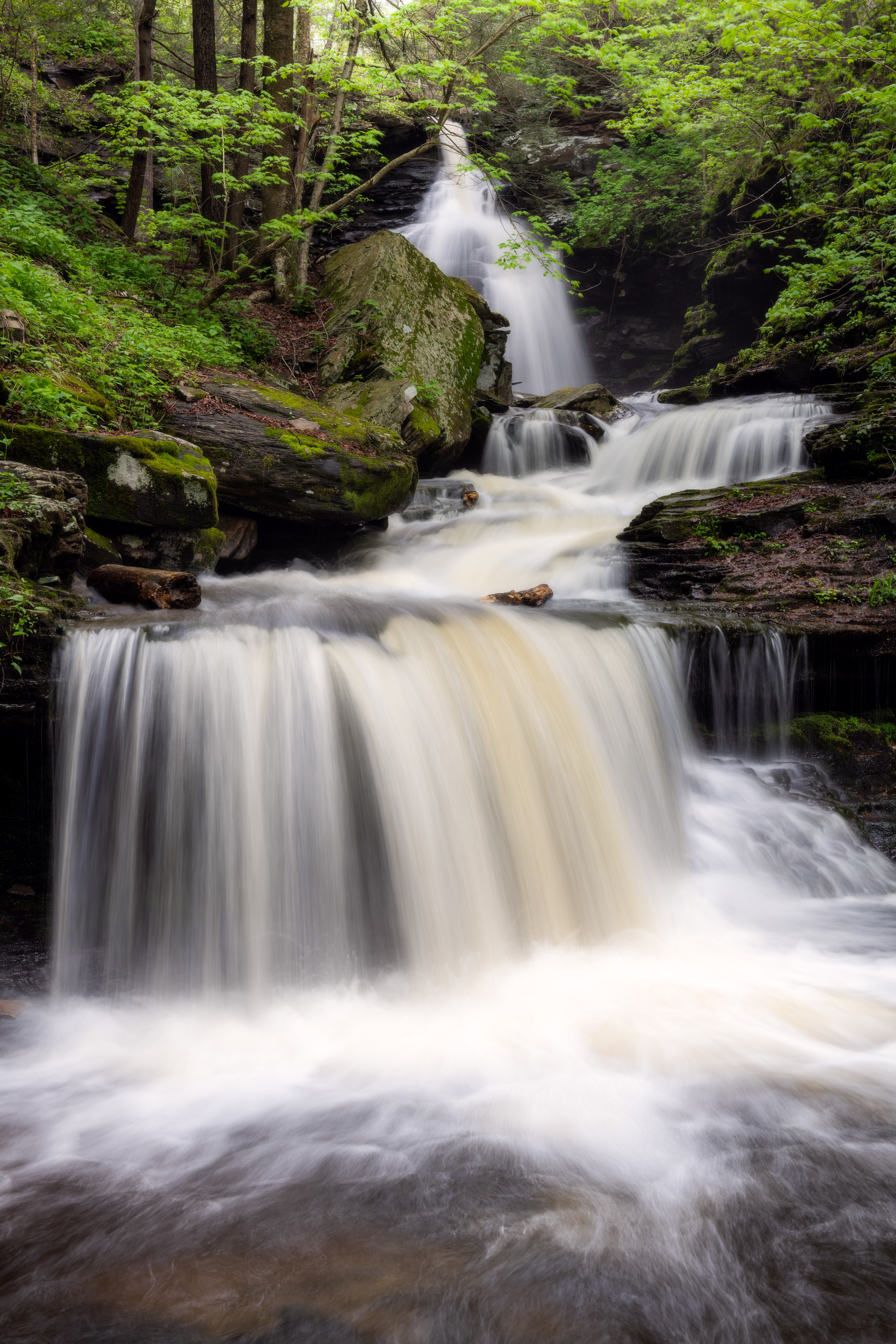 Ricketts Glen State Park, USA