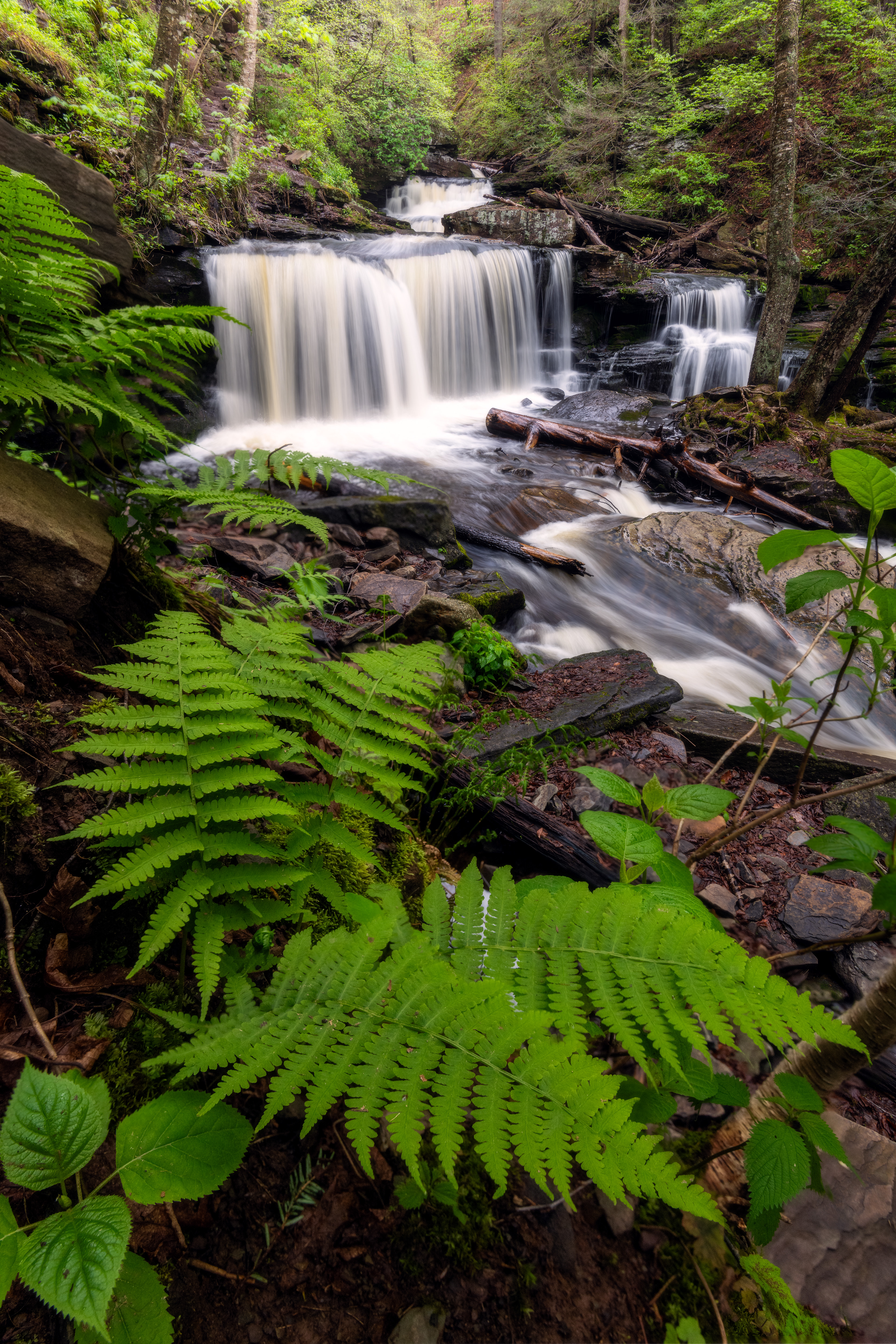 Ricketts Glen State Park, USA