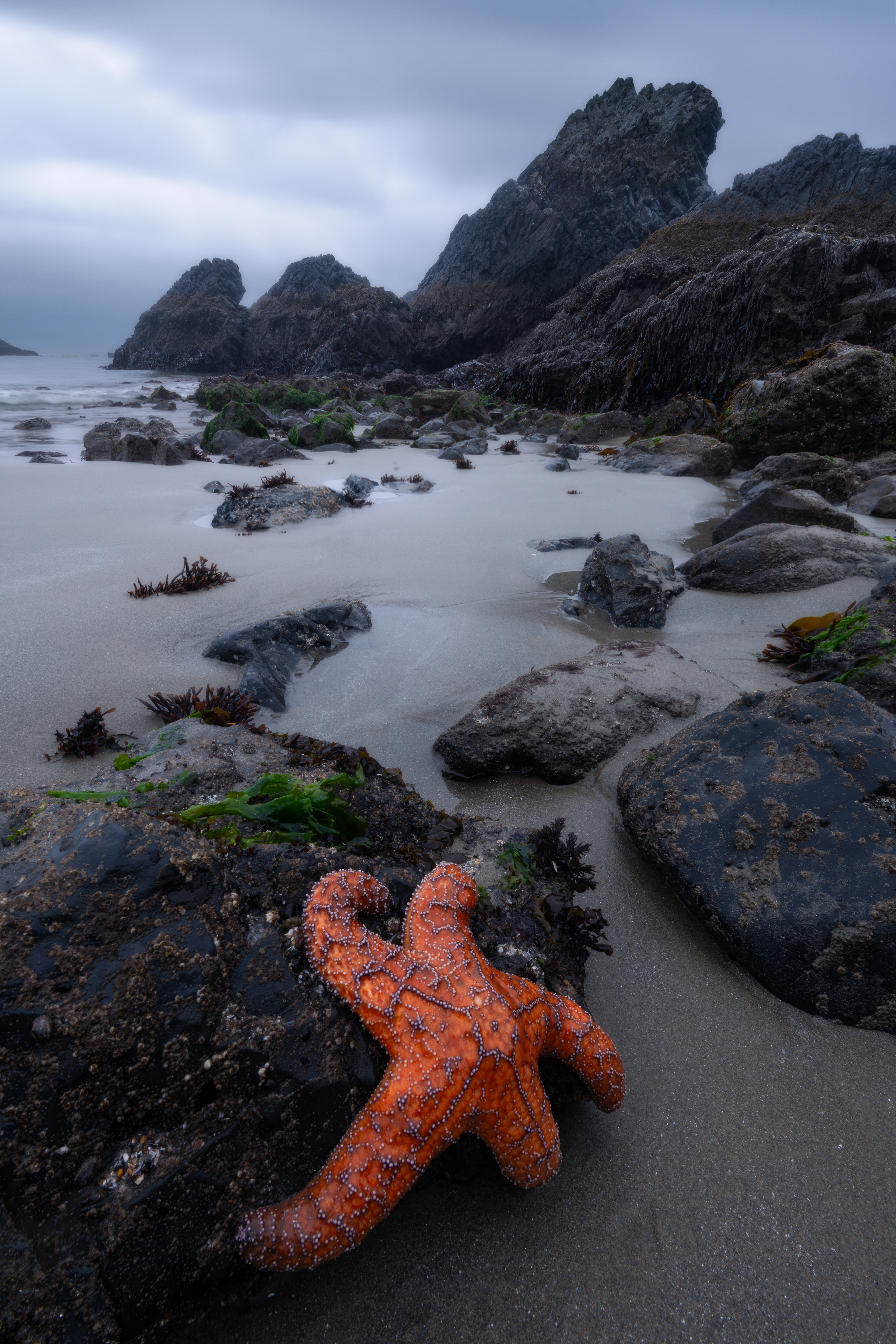 Oregon Coast, USA