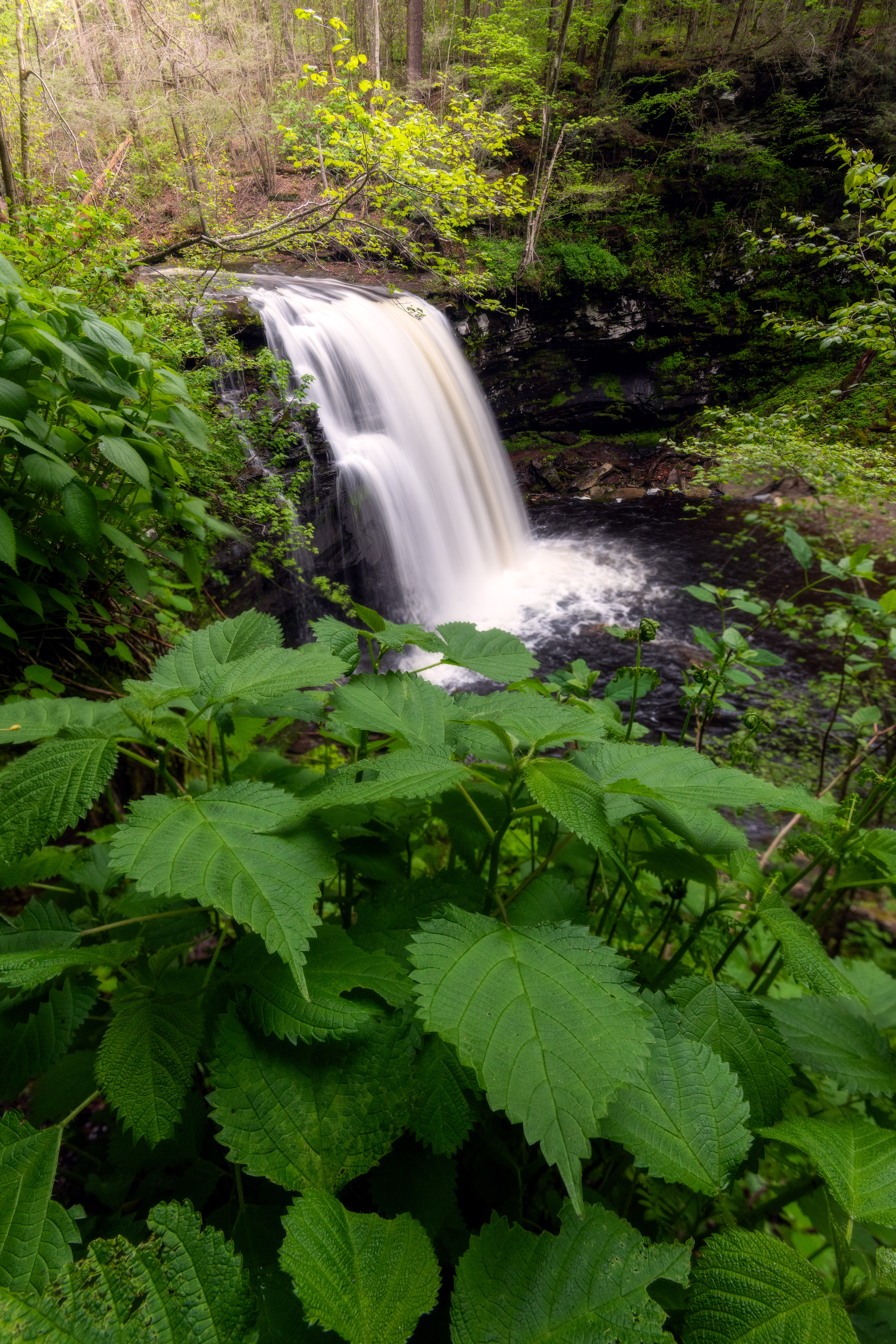 Ricketts Glen State Park, USA